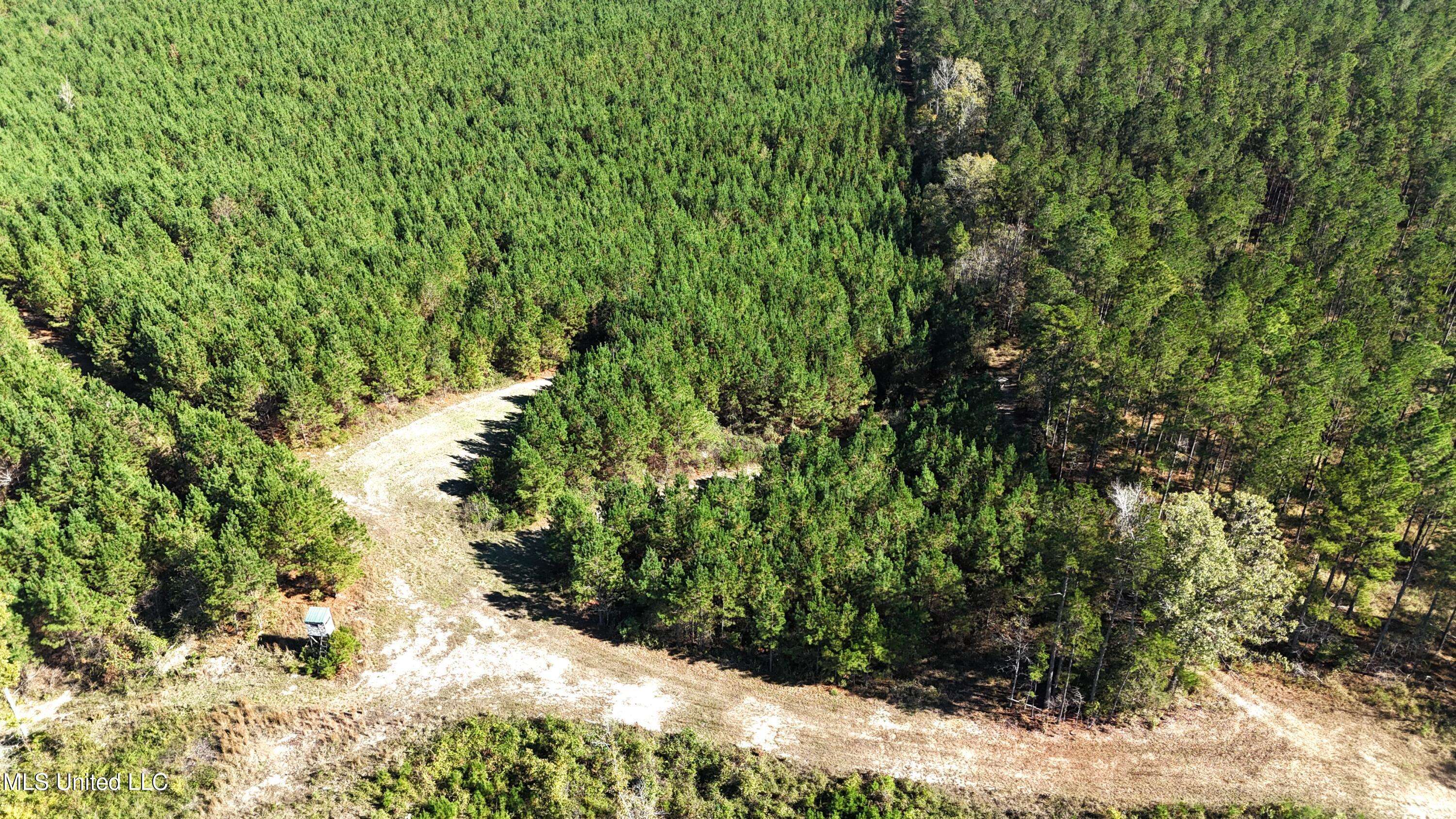 Union, MS 39365,Little Rock County Line Road Road