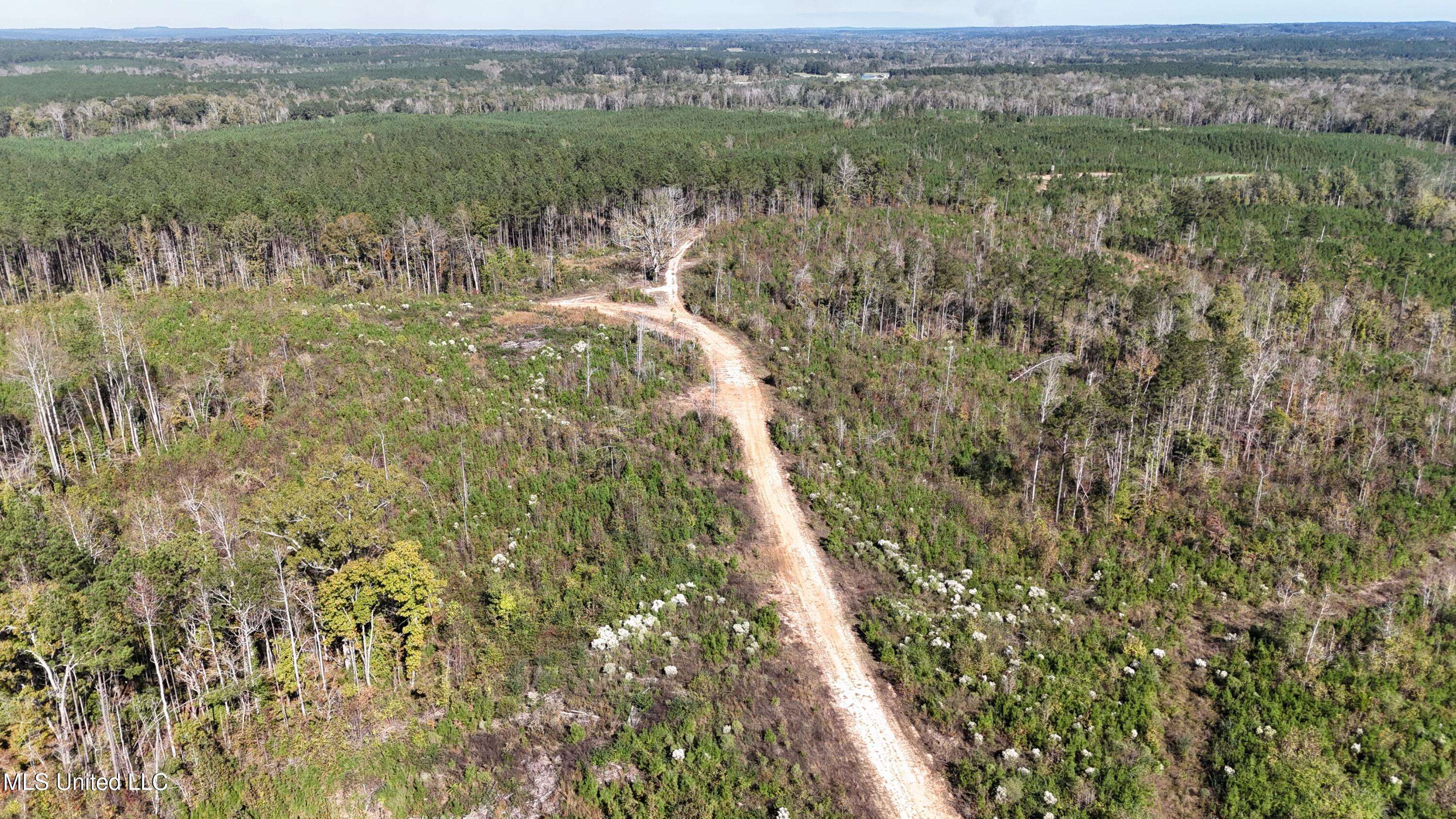 Union, MS 39365,Little Rock County Line Road Road