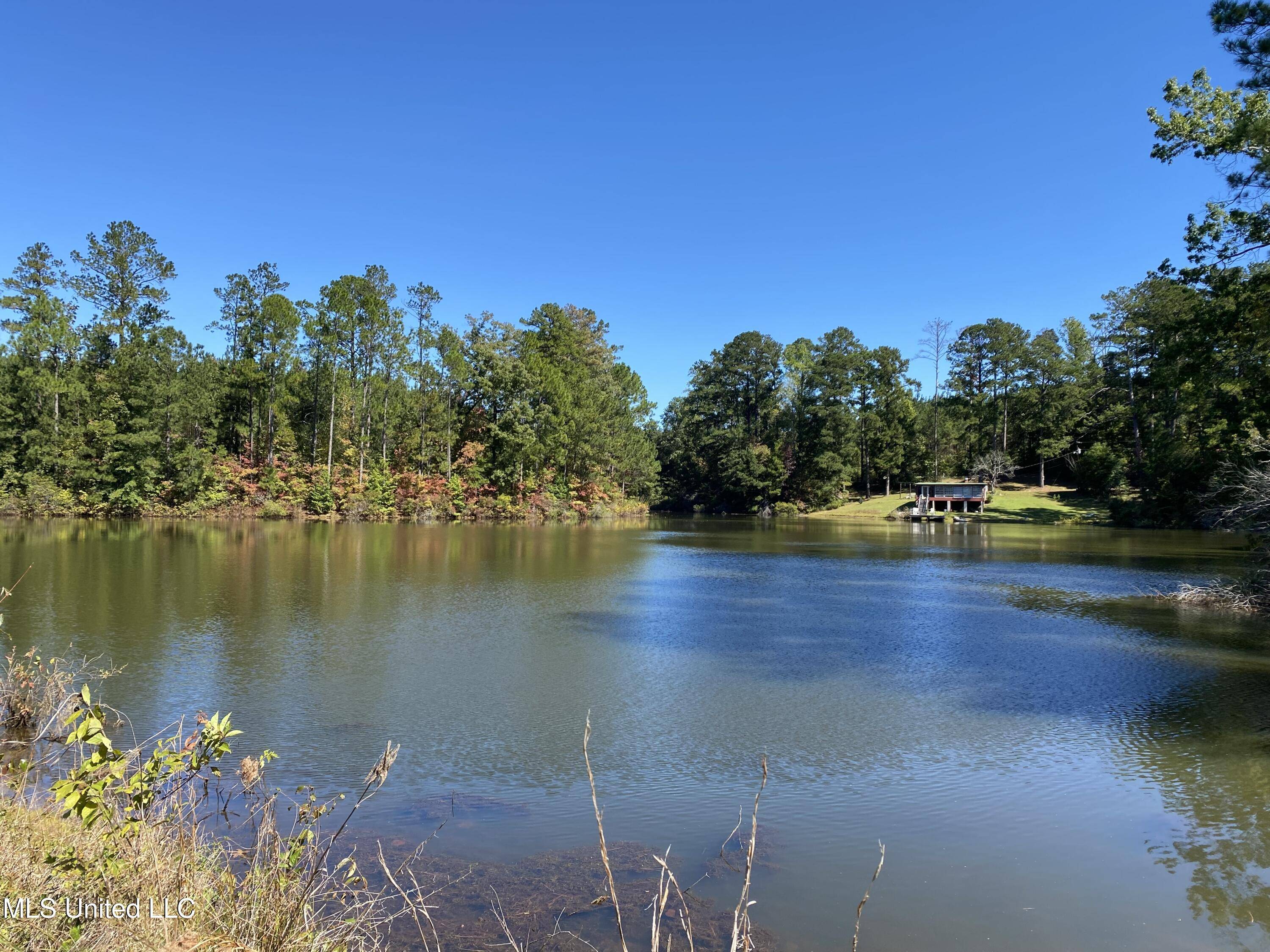 Lauderdale, MS 39335,York Road Road