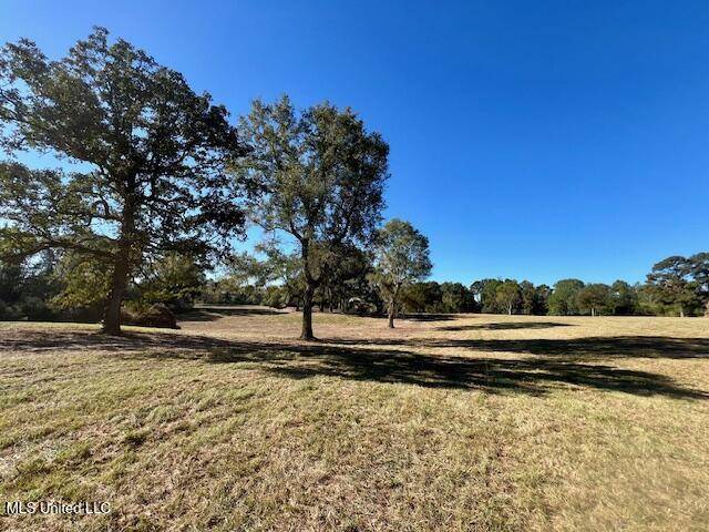 Tylertown, MS 39667,0 Silver Drive