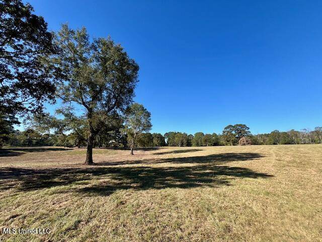 Tylertown, MS 39667,0 Silver Drive