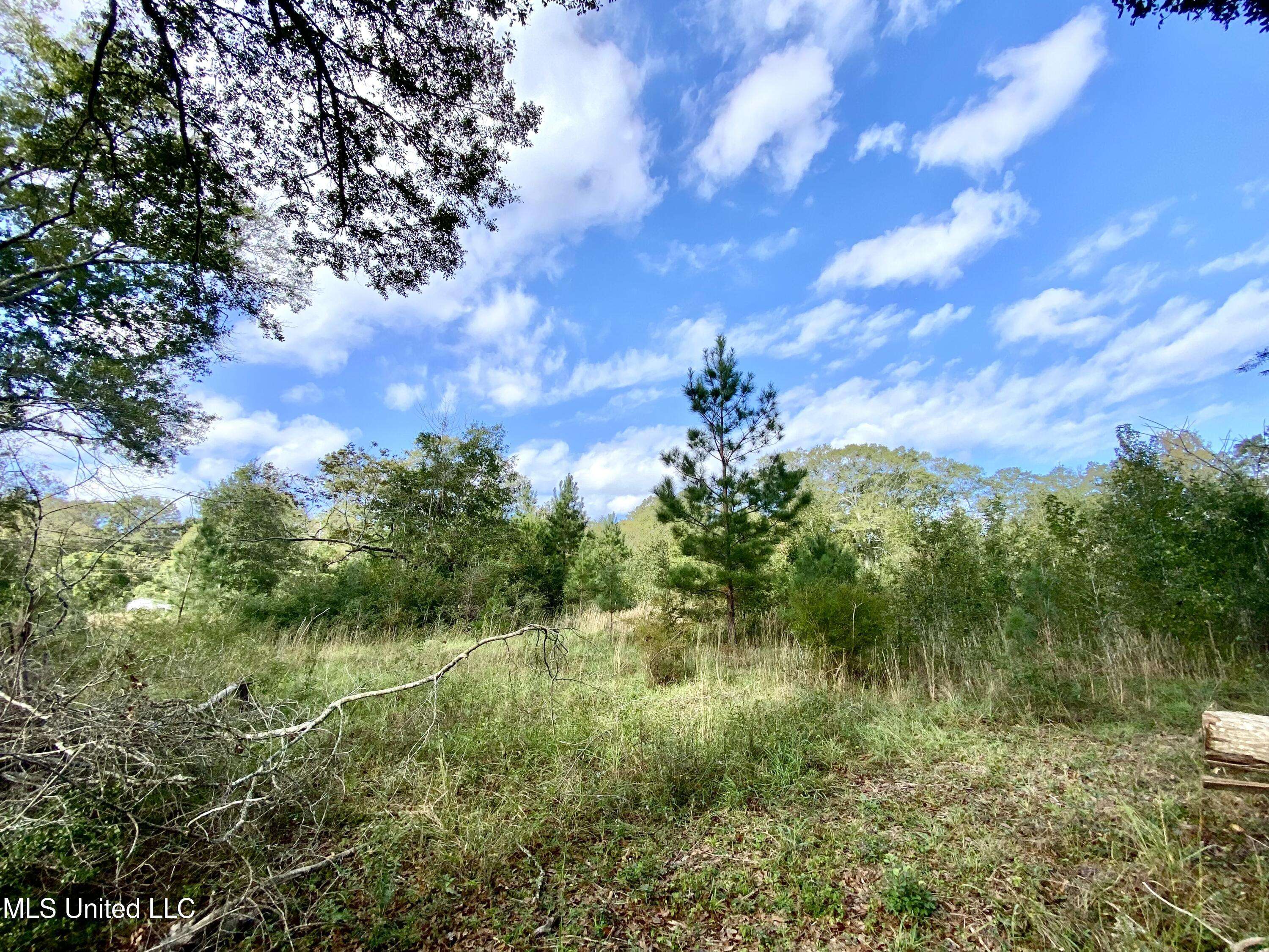 Carriere, MS 39426,Henleyfield Mcneil Road