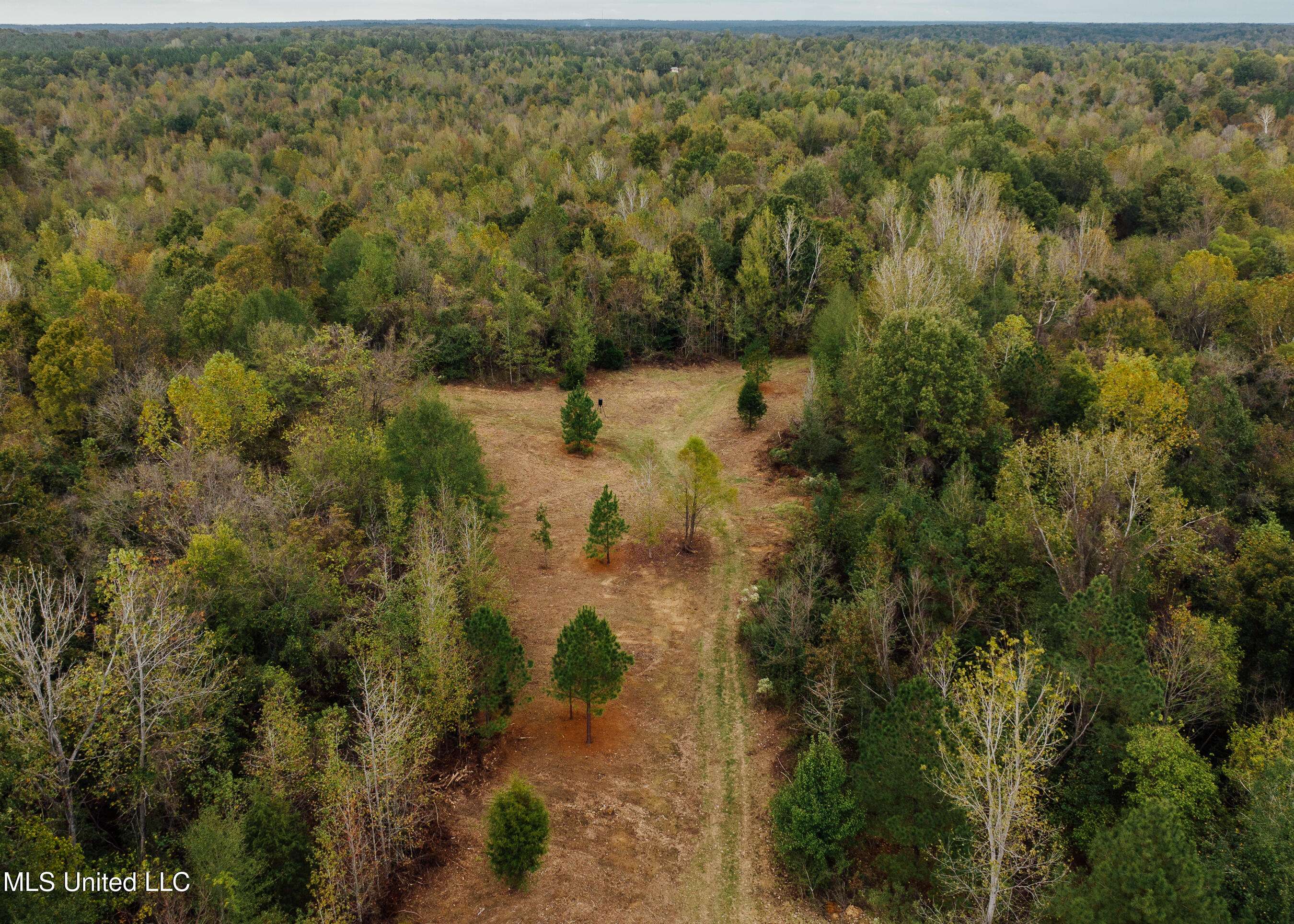 Yazoo City, MS 39194,Old Benton Rd