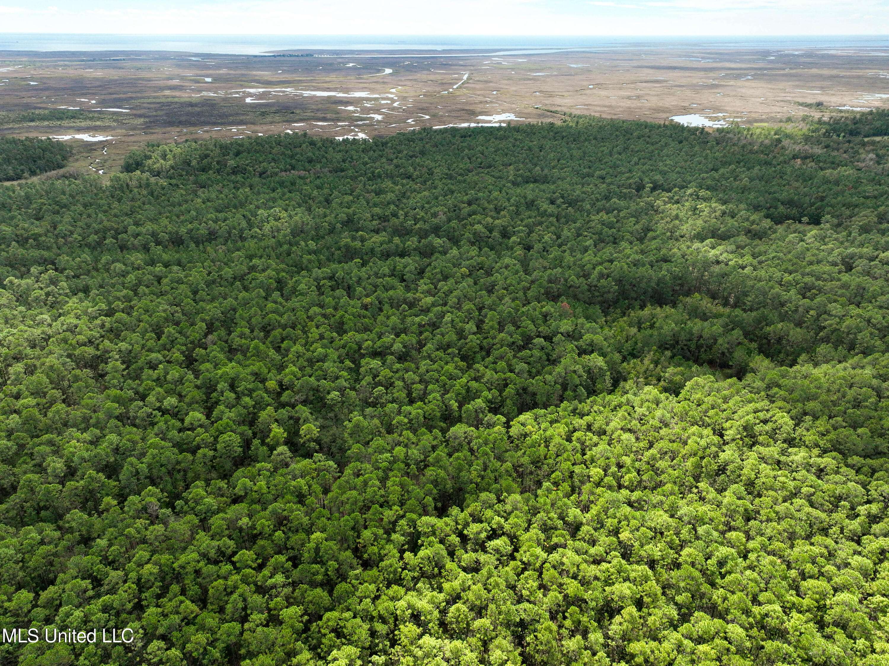 Bay Saint Louis, MS 39520,0 Lower Bay Road