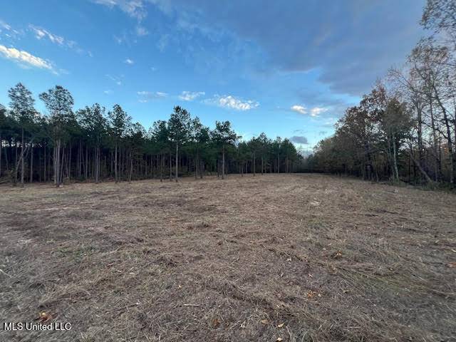 Holly Springs, MS 38635,15 Hogan Road