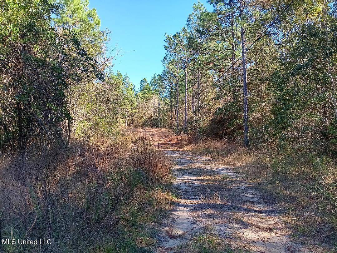 Saucier, MS 39574,18418 Bonvillain Drive