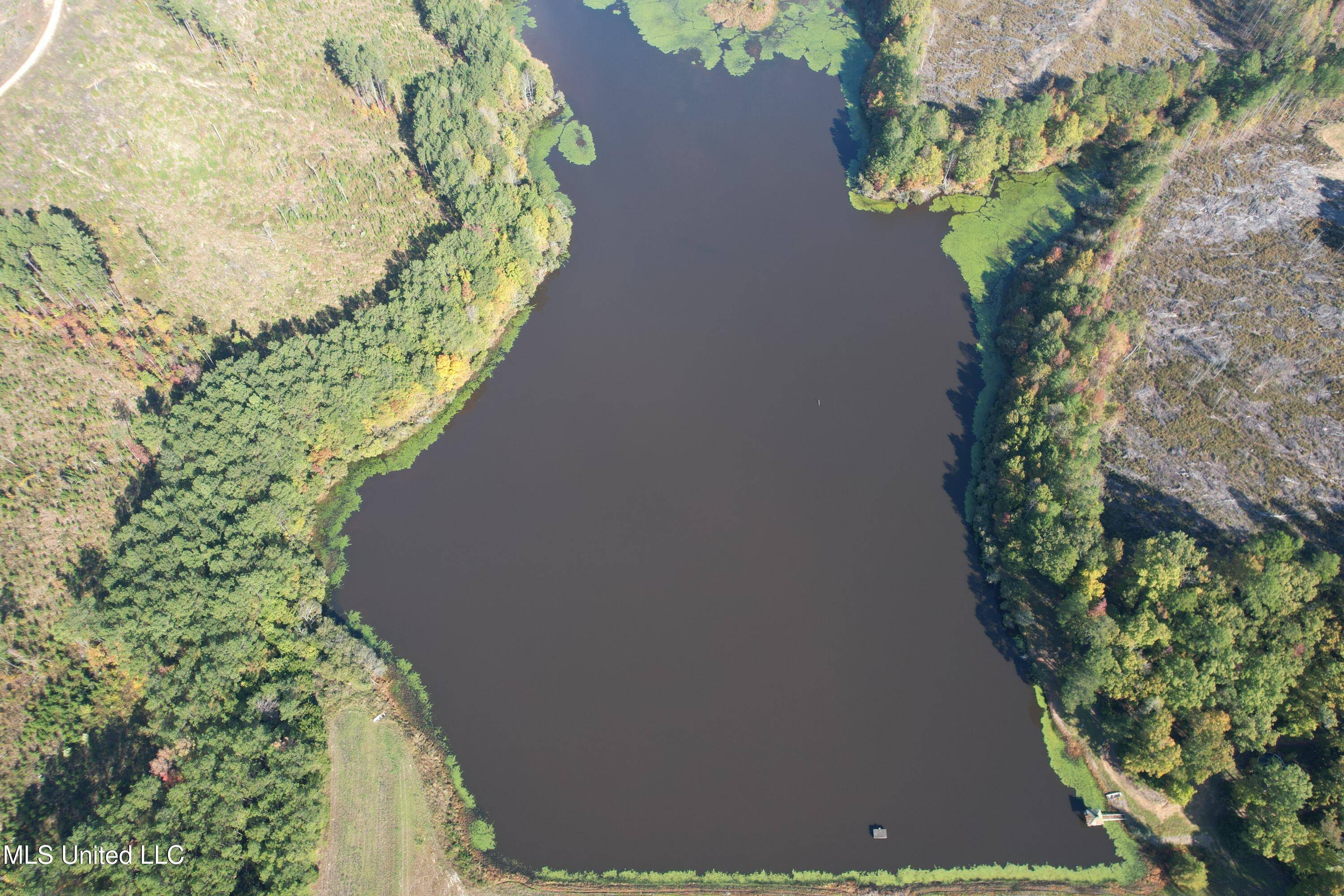 Water Valley, MS 38965,Off Highway 315