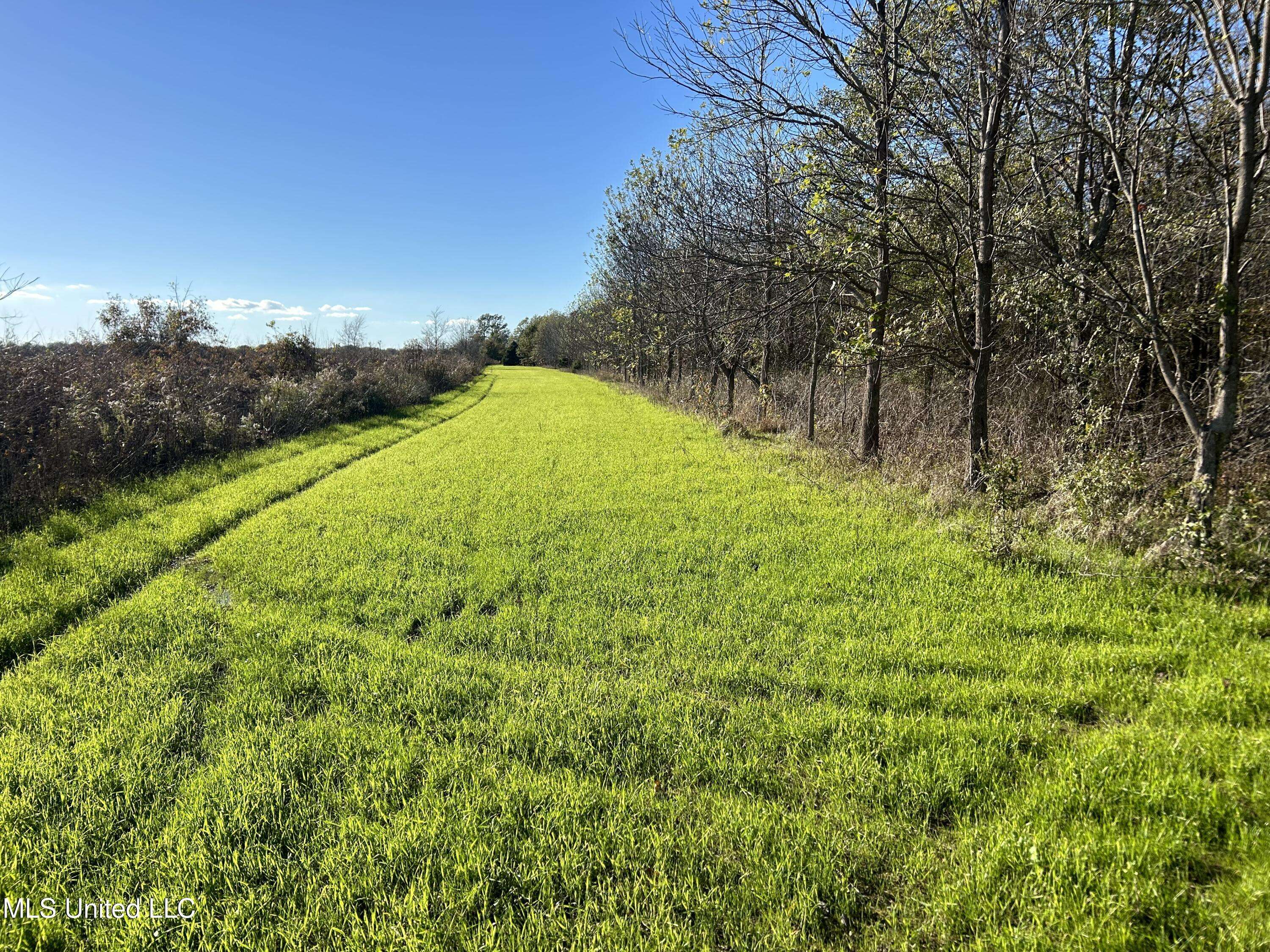 Mound Bayou, MS 38762,W Mound Bayou Road