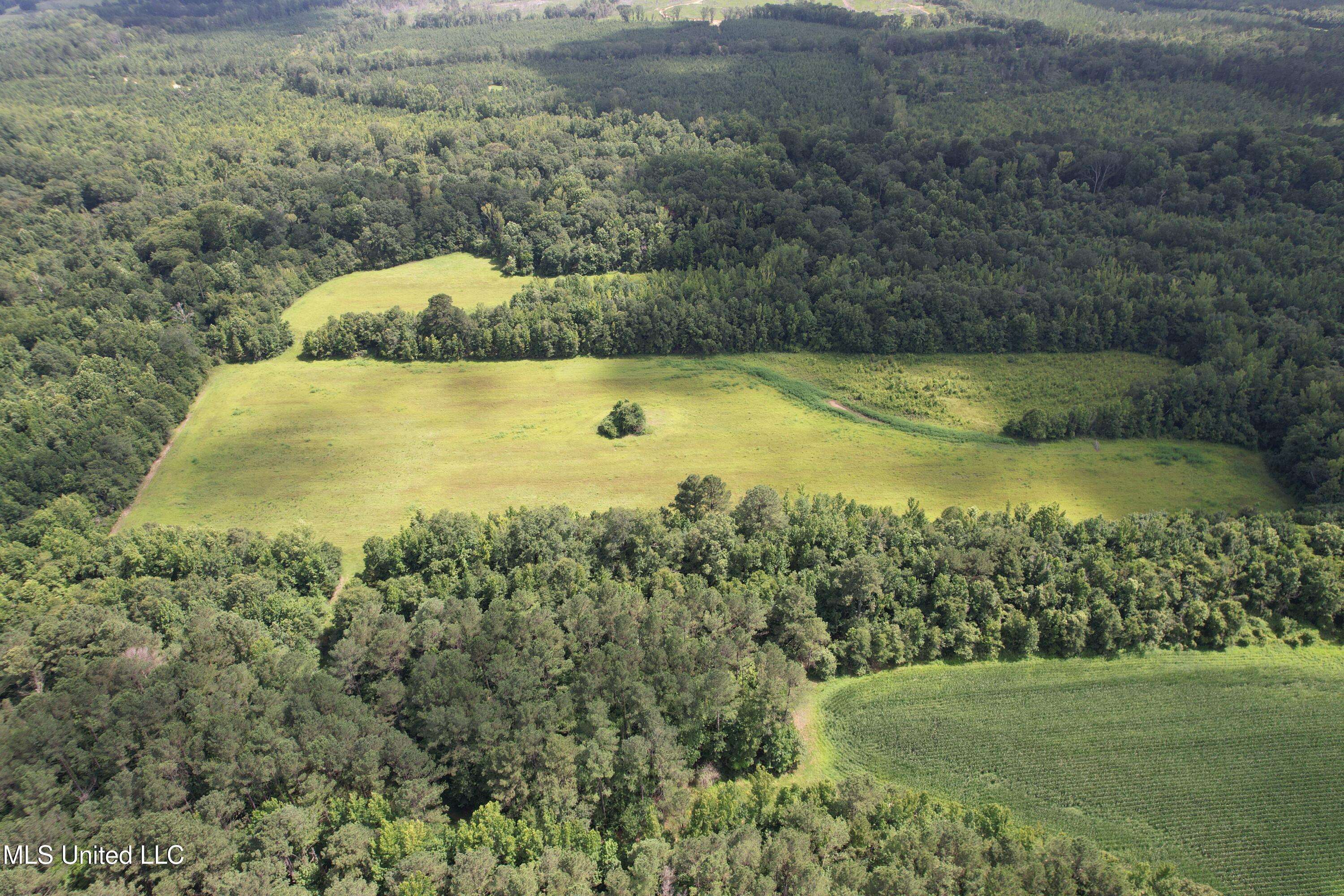 Sallis, MS 39160,Attala Road 4110