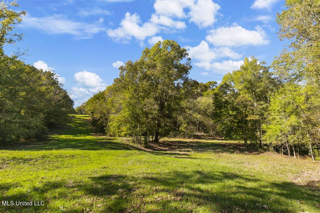 Bentonia, MS 39040,2665 Old Hwy 49