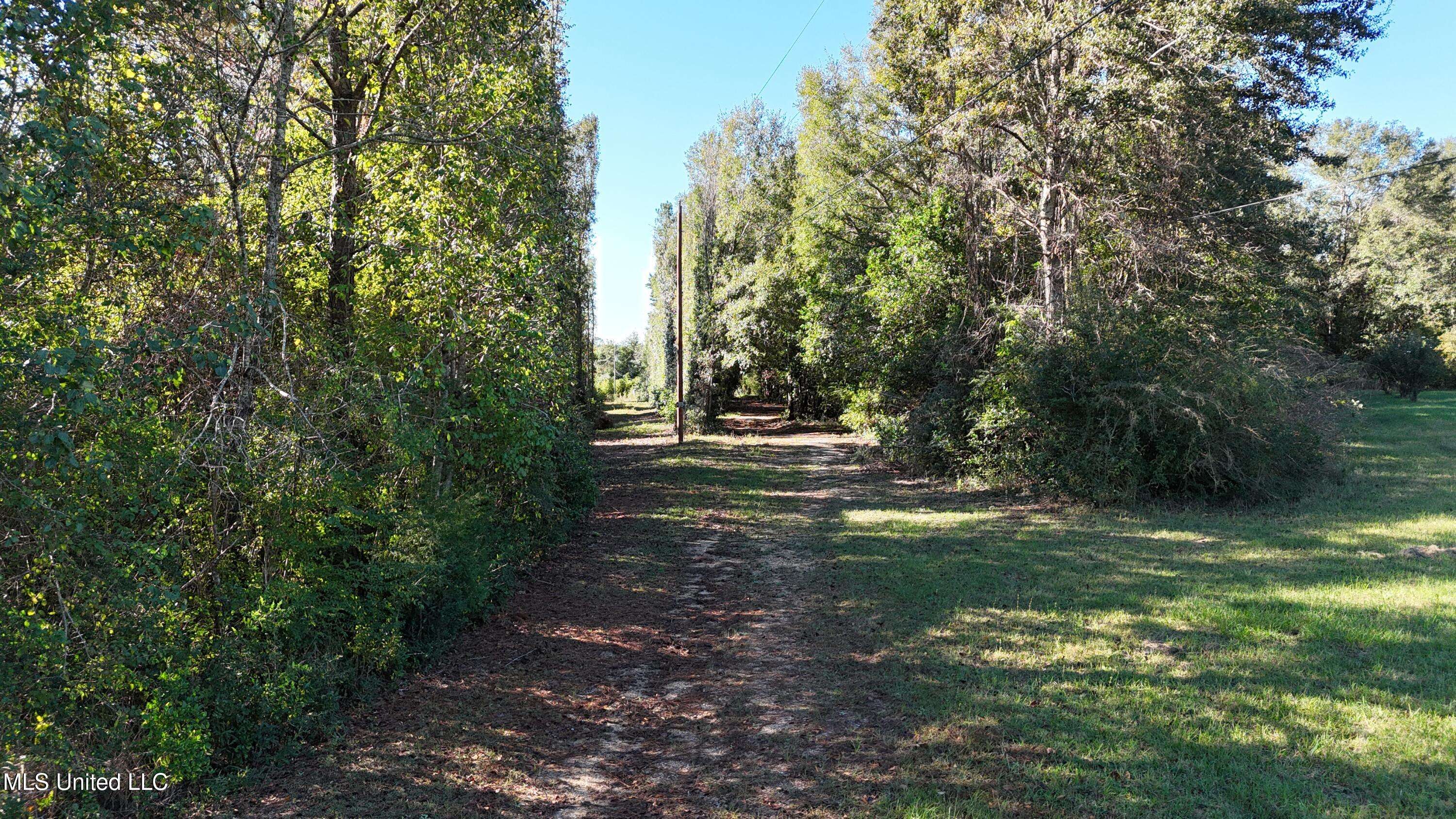 Carriere, MS 39426,1012 Anchor Lake Road