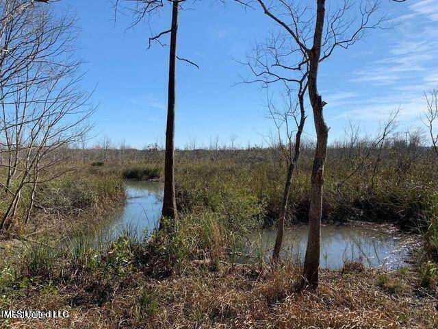 Pass Christian, MS 39571,Menge Avenue