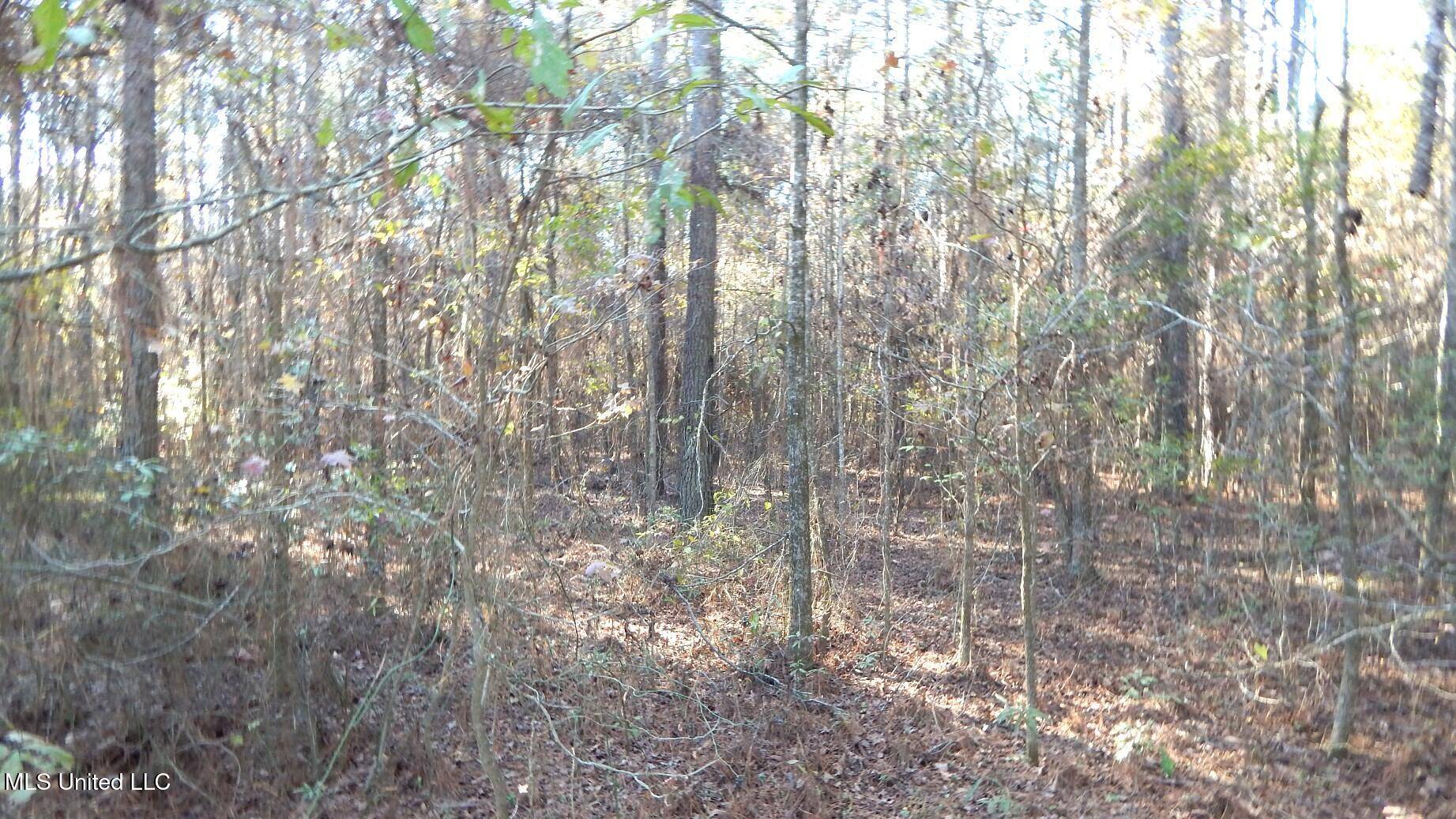 Starkville, MS 39759,4561 Ennis Road