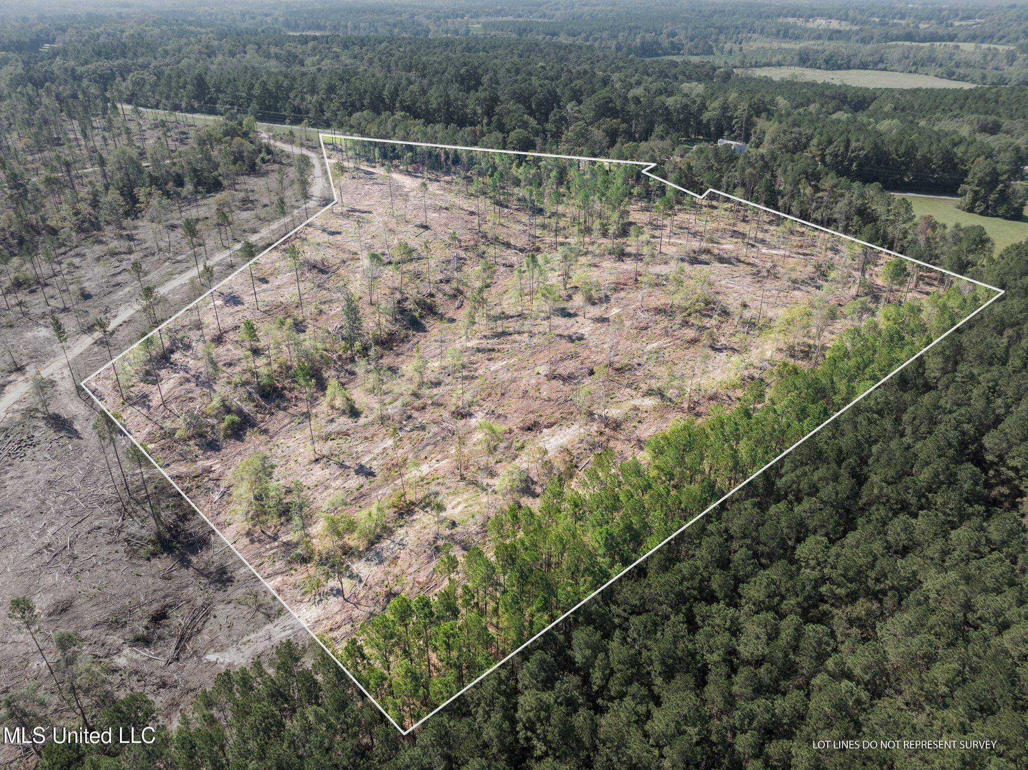 Seminary, MS 39479,1455 Acres +/- Shirley Sanford Road