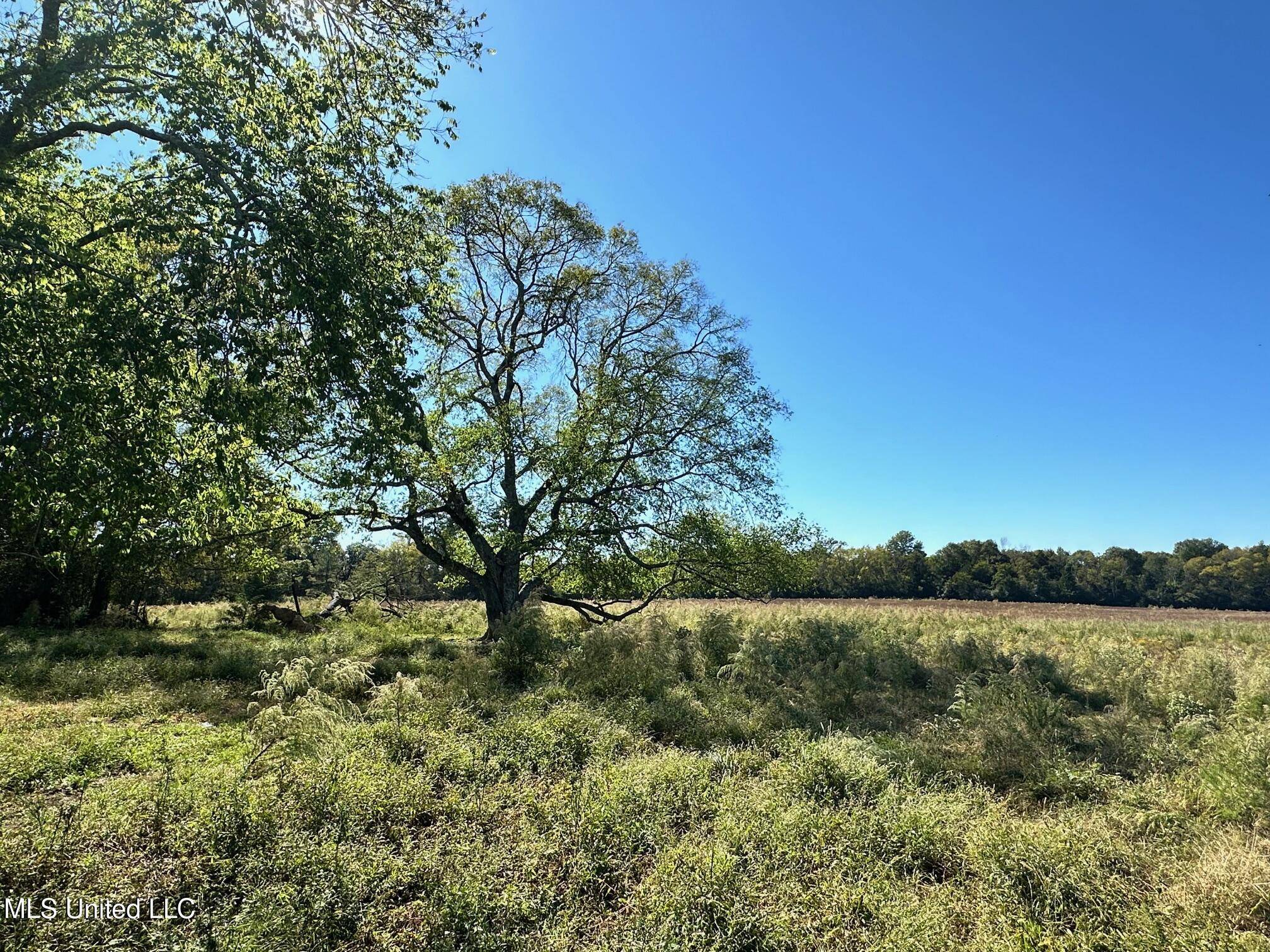 Canton, MS 39046,1 Robinson ''Warren Meadows'' Road