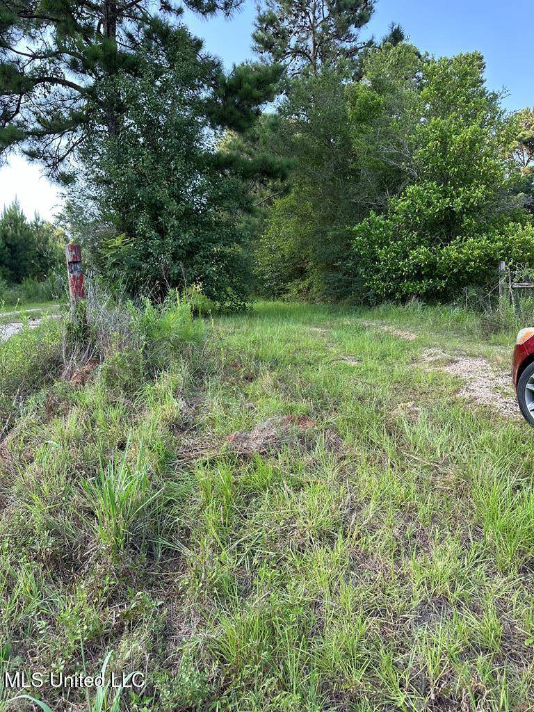 Carriere, MS 39426,22 Slatten Drive