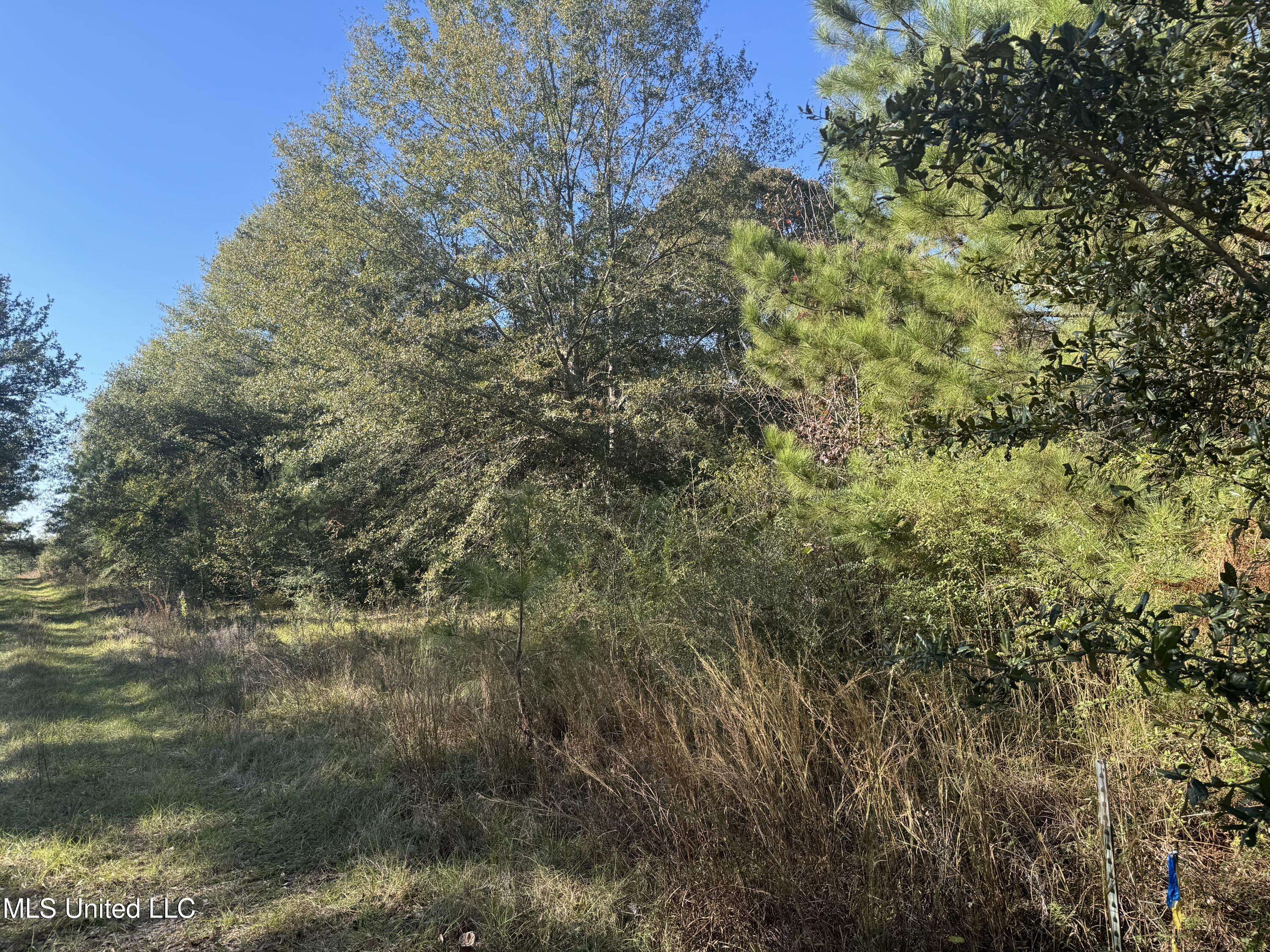 Lumberton, MS 39455,Robert Dubose Road