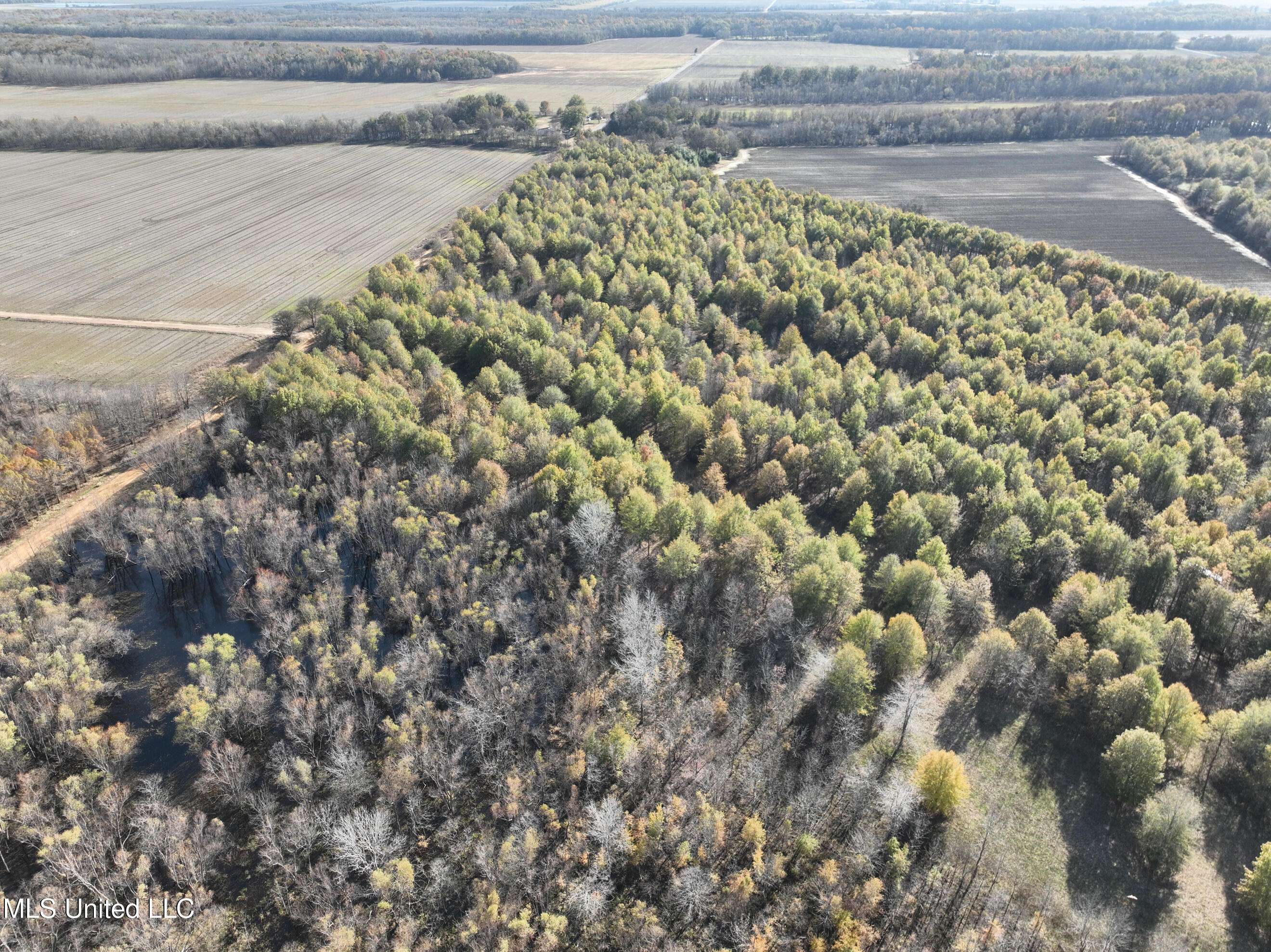 Lambert, MS 38643,1 Bland Road