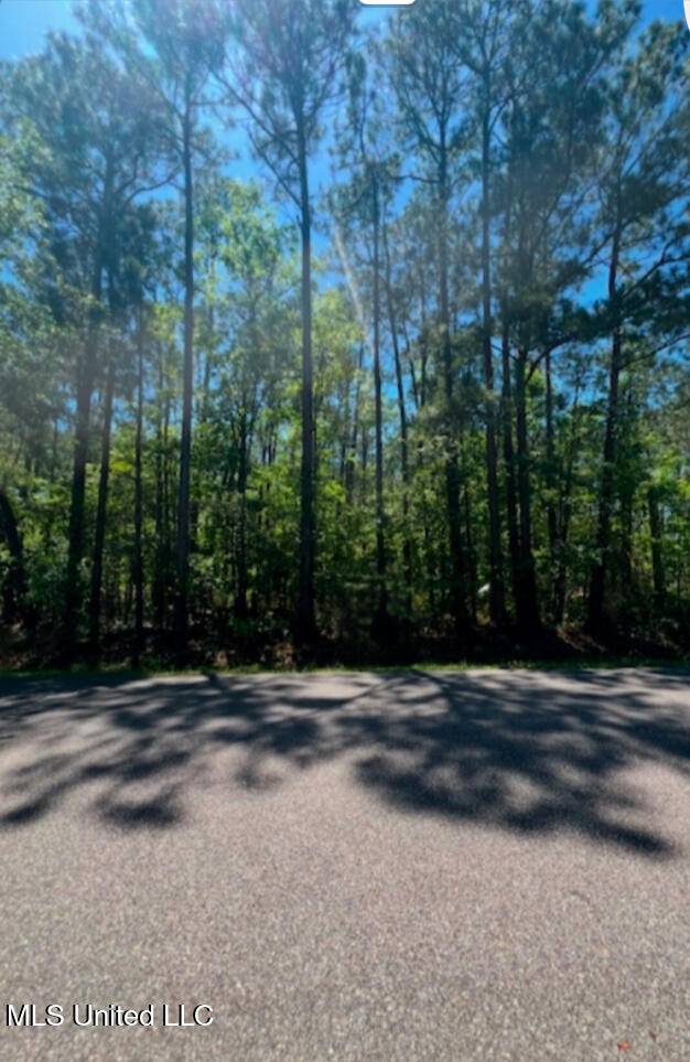Pass Christian, MS 39571,Dogwood Lane