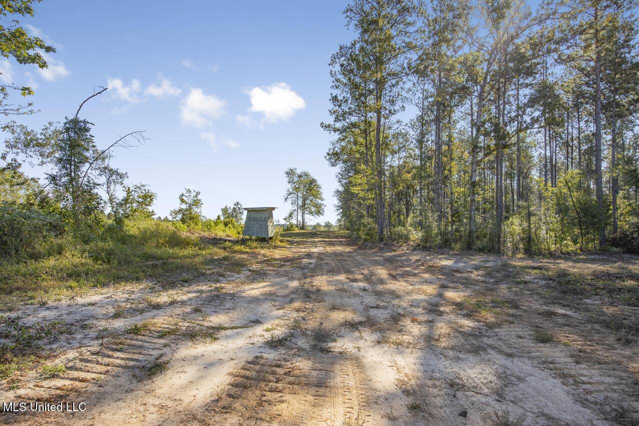 Liberty, MS 39645,1998 Berwick Cassels Road