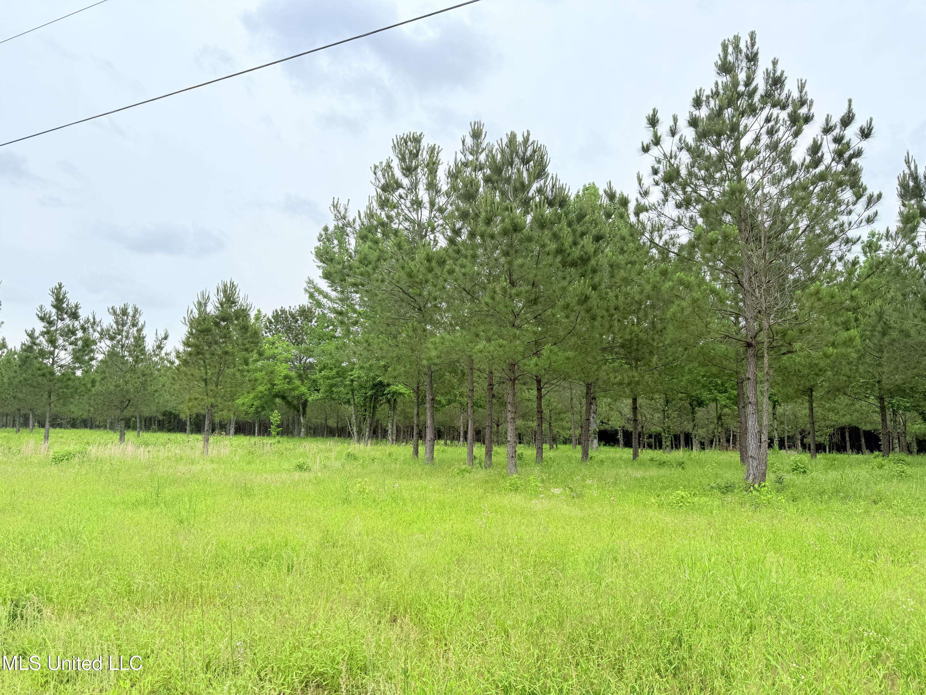 Madison, MS 39110,Stout Farms Drive