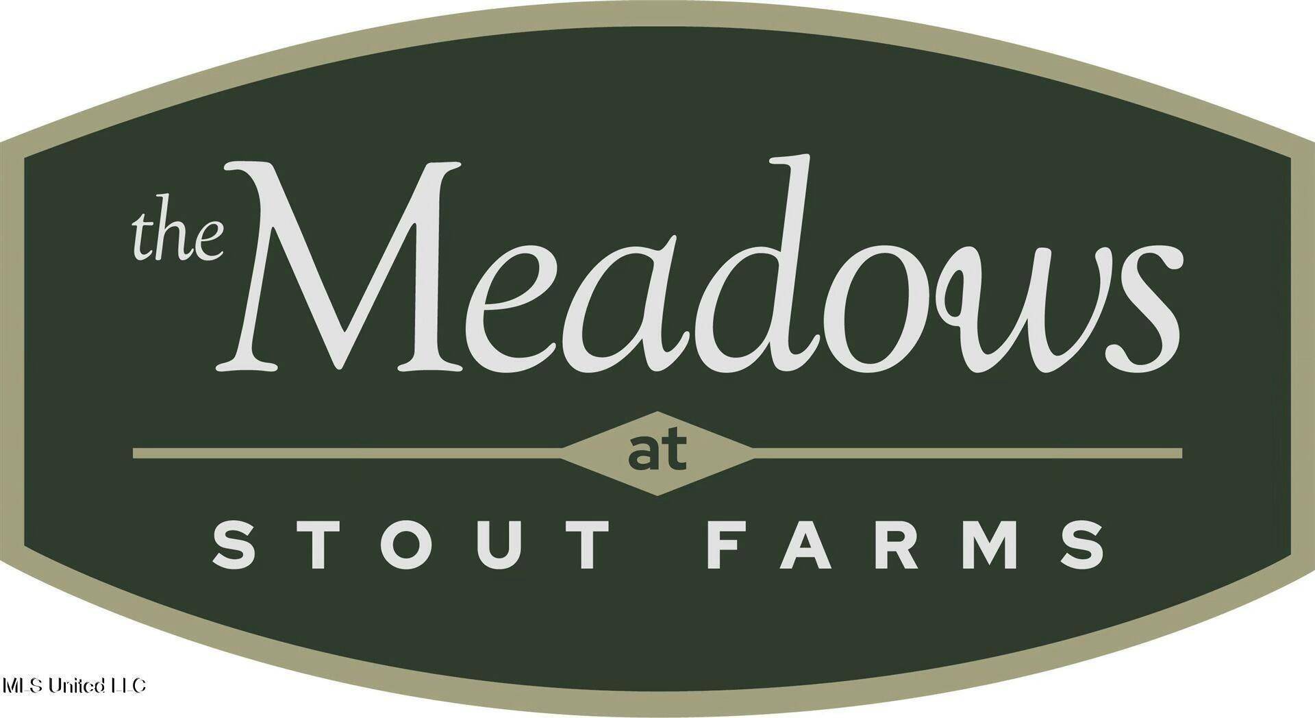 Madison, MS 39110,Stout Farms Drive