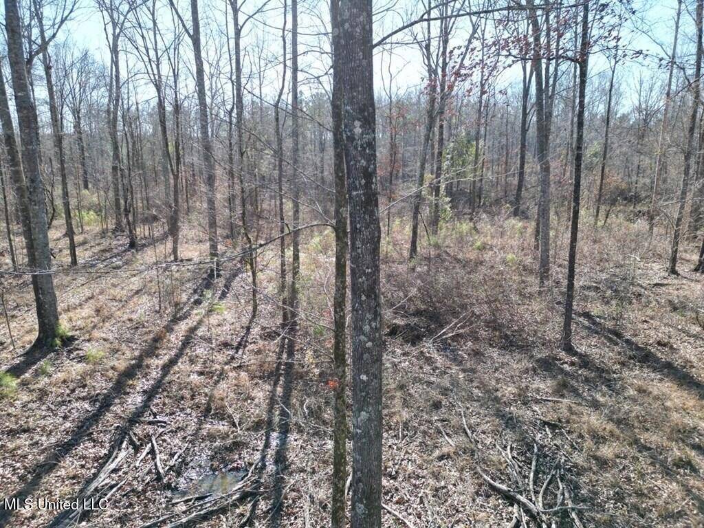 Fayette, MS 39069,9307 Ms 28