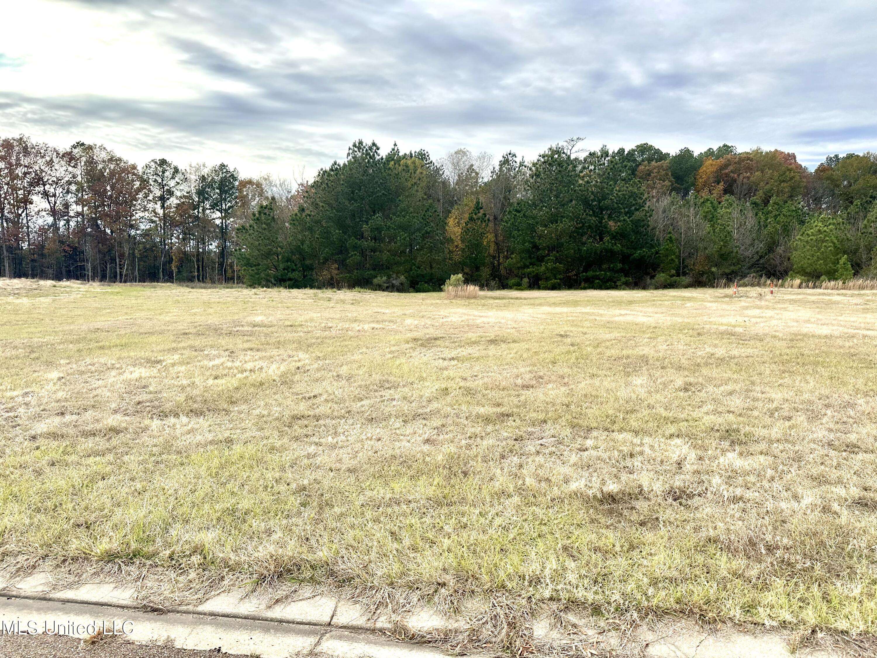 Pearl, MS 39208,Executive Drive