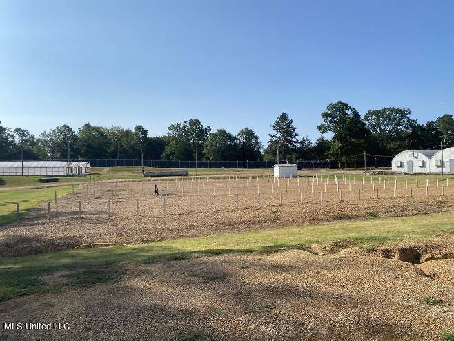 Raymond, MS 39154,4450 Parsons Road