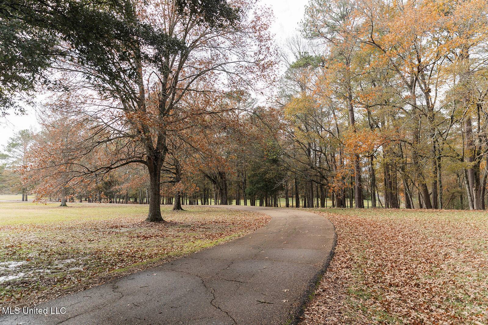 Canton, MS 39046,288 Morgan Road Road