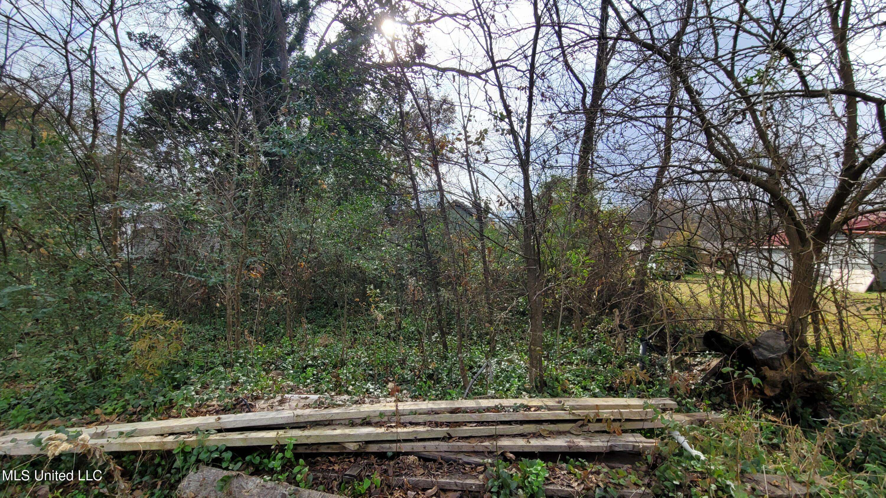 Holly Springs, MS 38635,172 Jarrott Street