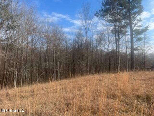 Byhalia, MS 38611,0 S Red Banks Road
