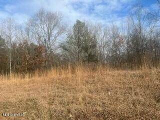 Byhalia, MS 38611,0 S Red Banks Road