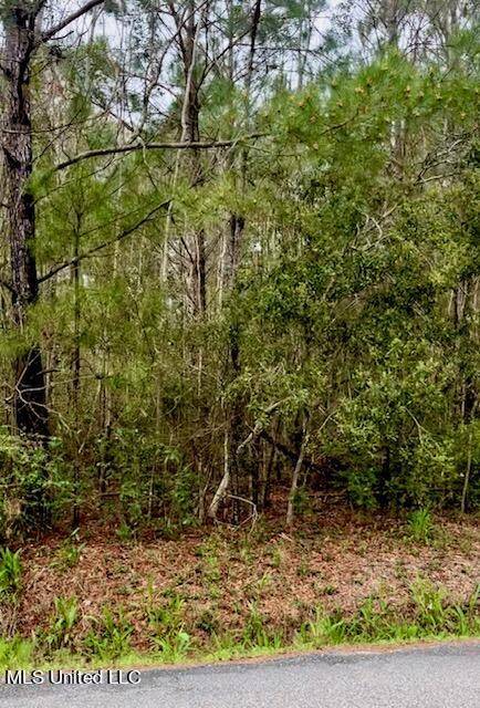 Bay Saint Louis, MS 39520,0 Leake Street