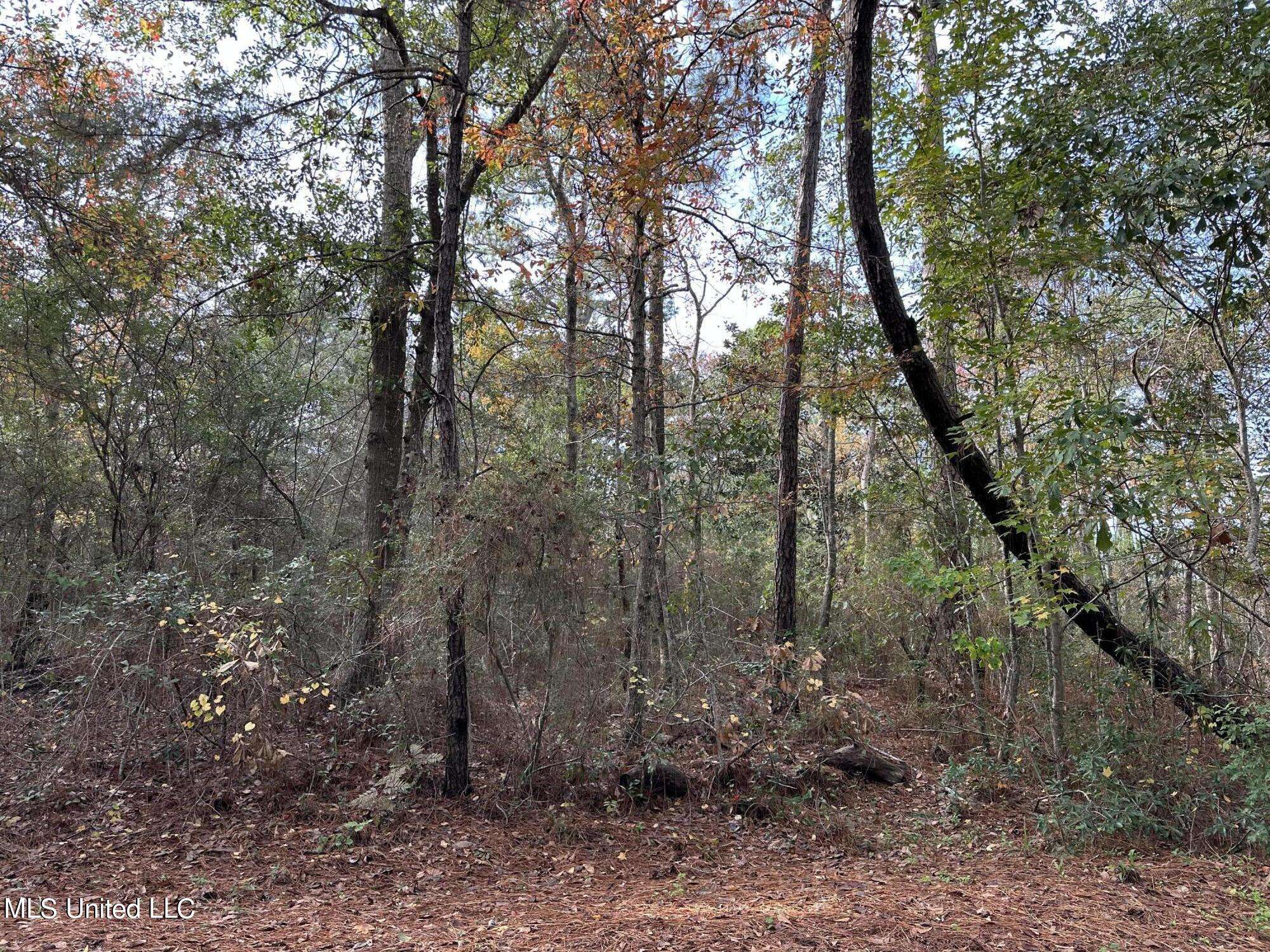 Ocean Springs, MS 39564,0 Doe Street