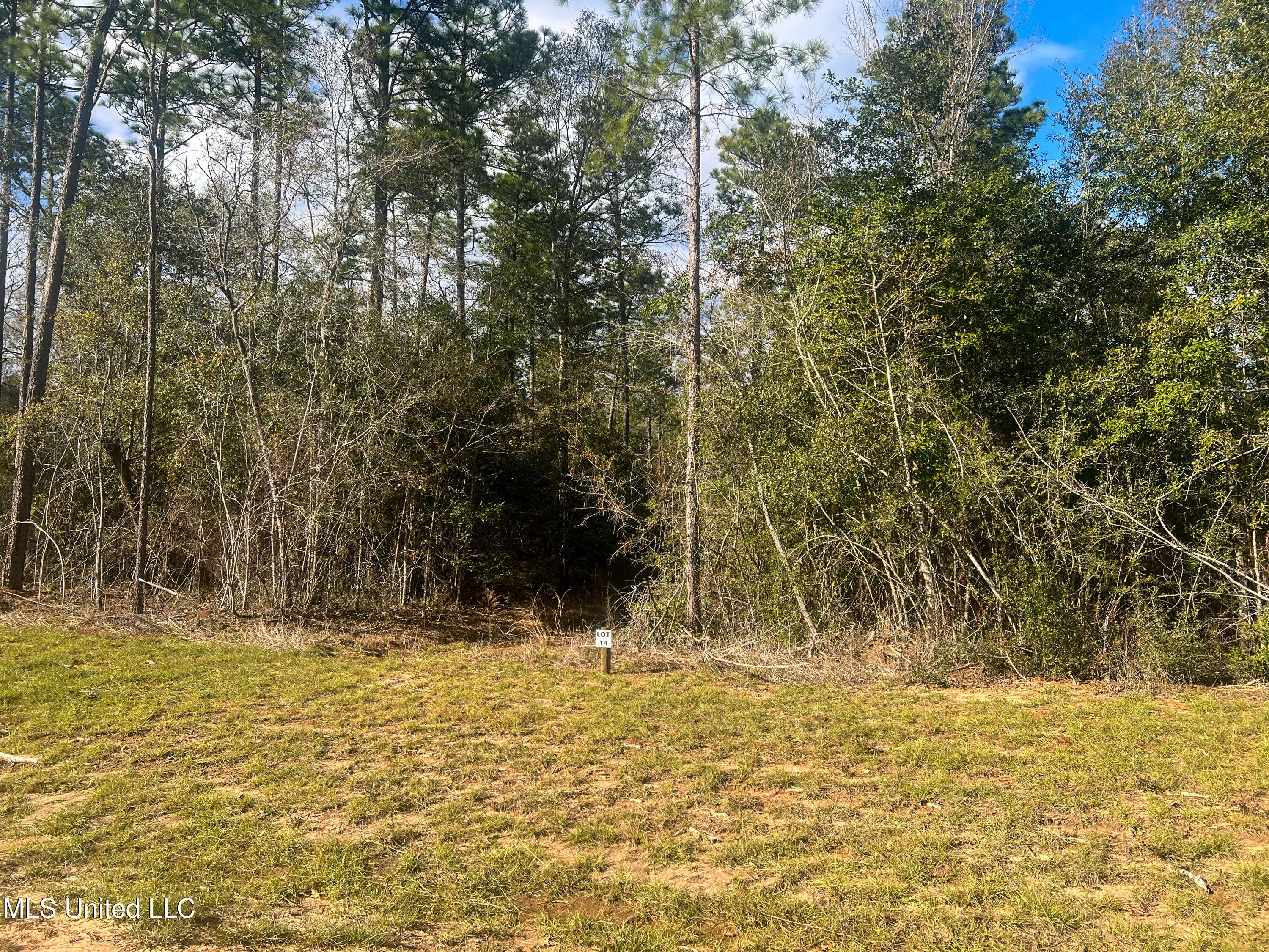 Lucedale, MS 39452,14 Pine Ridge Lane