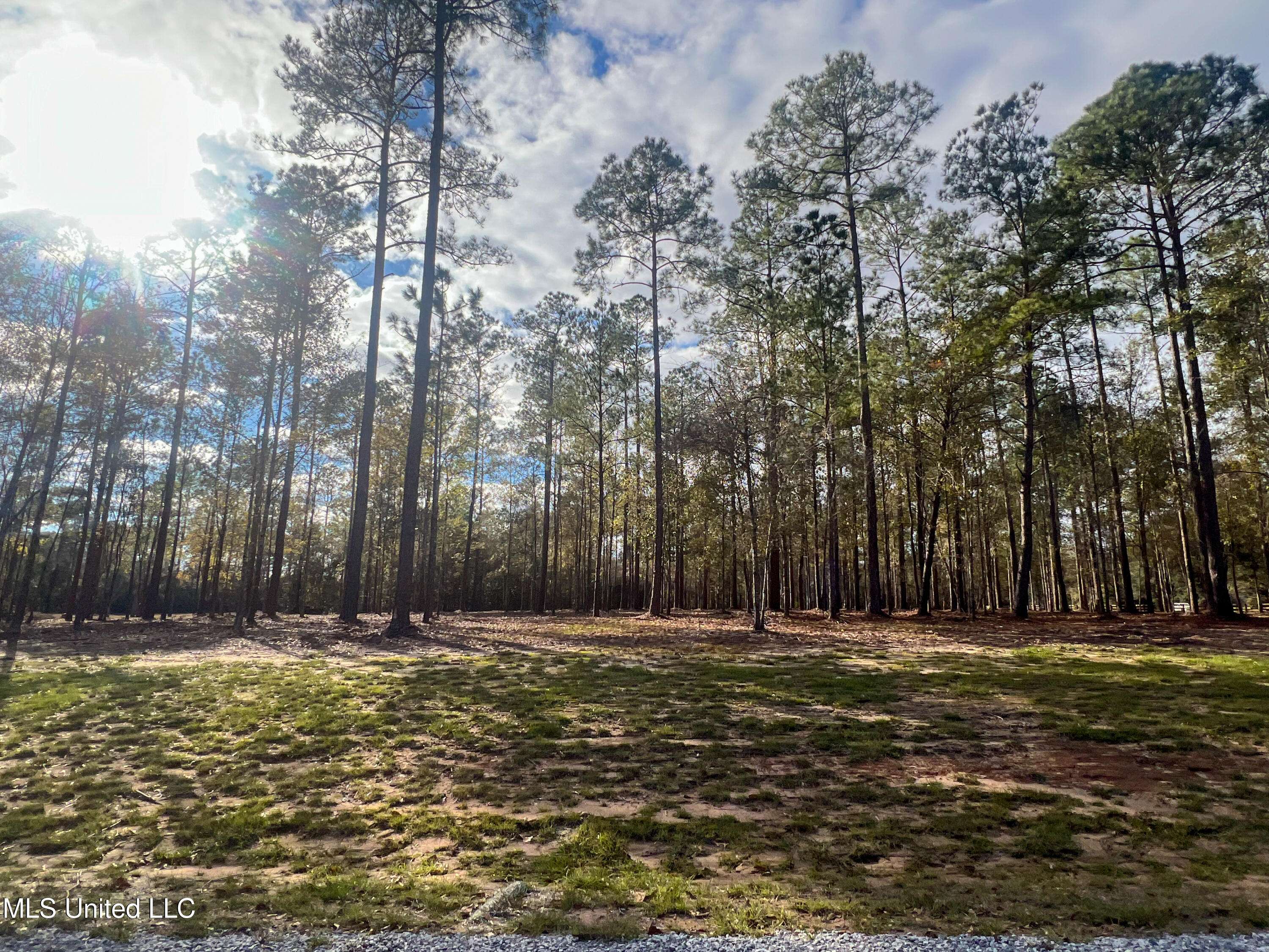 Lucedale, MS 39452,10 Pine Ridge Lane