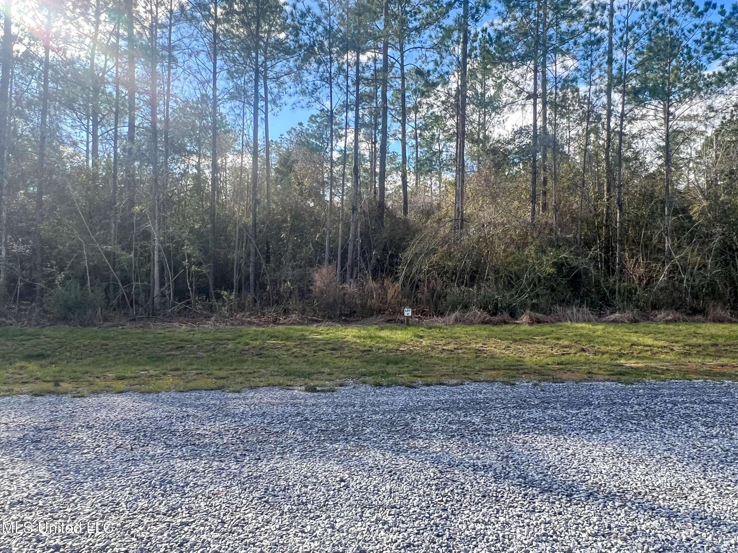 Lucedale, MS 39452,4 Pine Ridge Lane