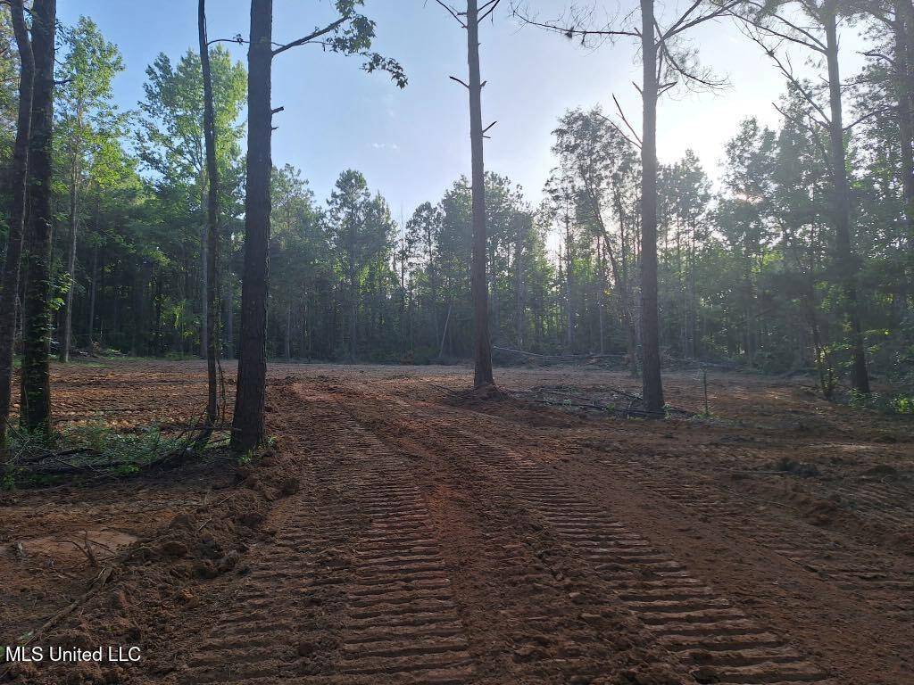 Mendenhall, MS 39114,1078 Dry Creek Road