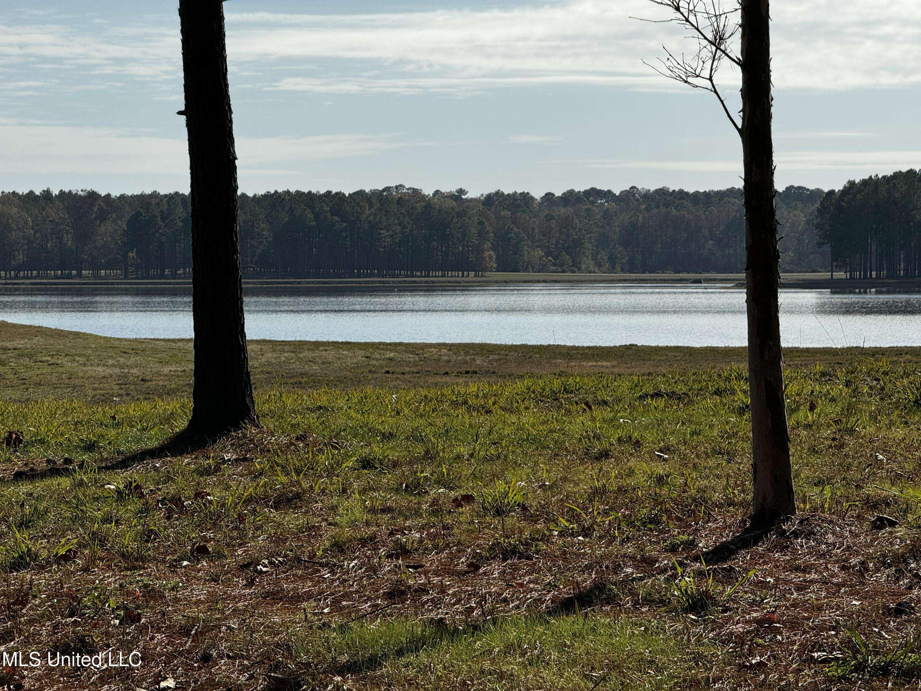 Madison, MS 39110,Reunion Z-69 Wincester Cove