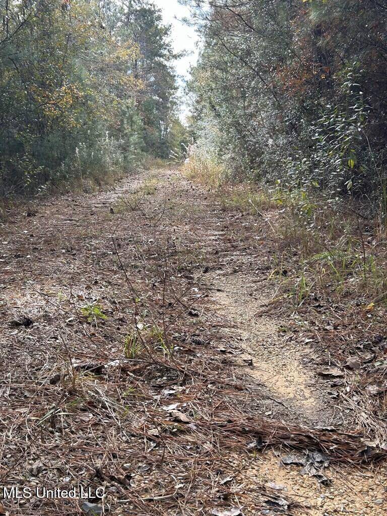 Lumberton, MS 39455,75 Entrekin Road