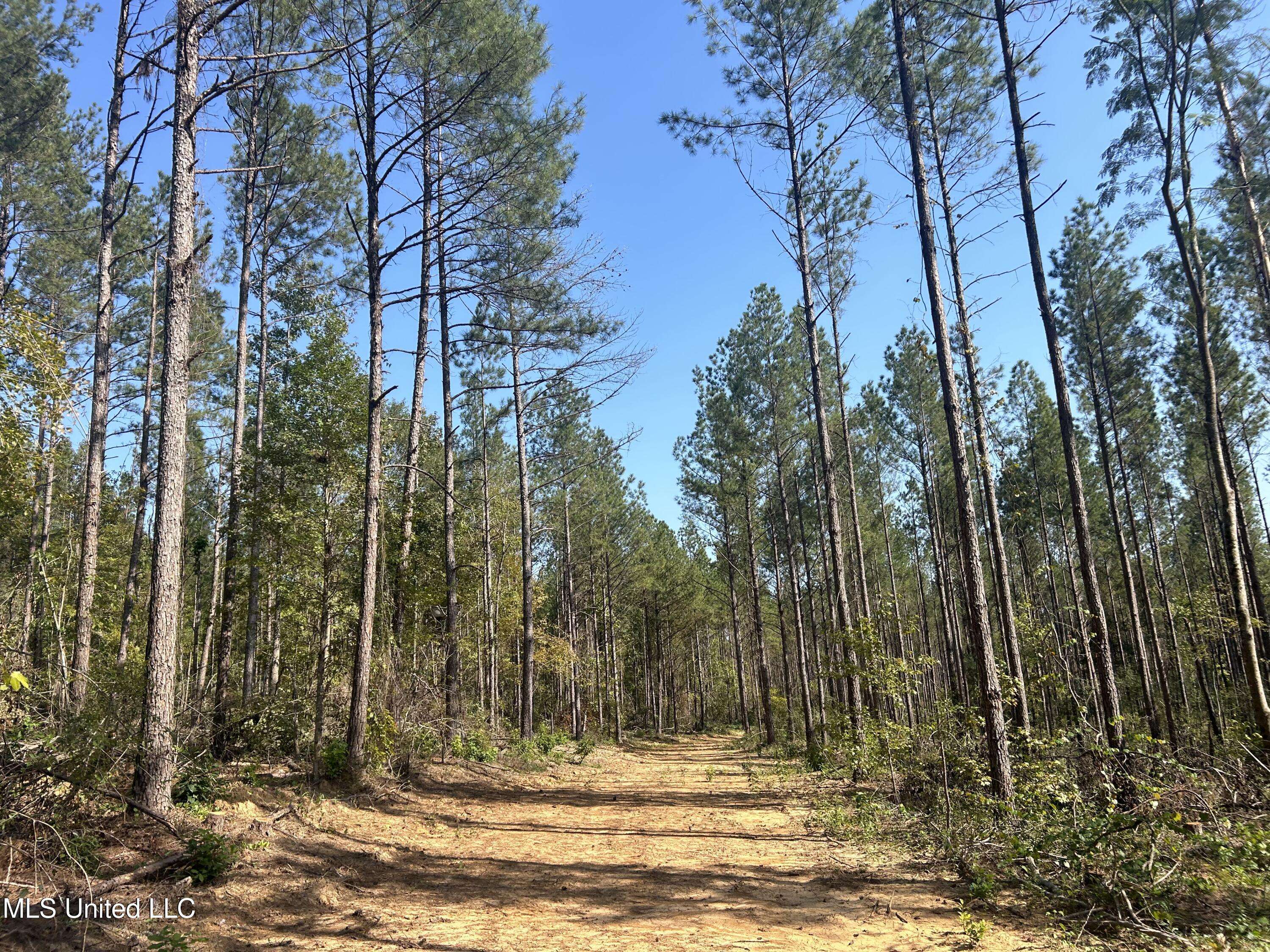 Georgetown, MS 39078,Knight Road