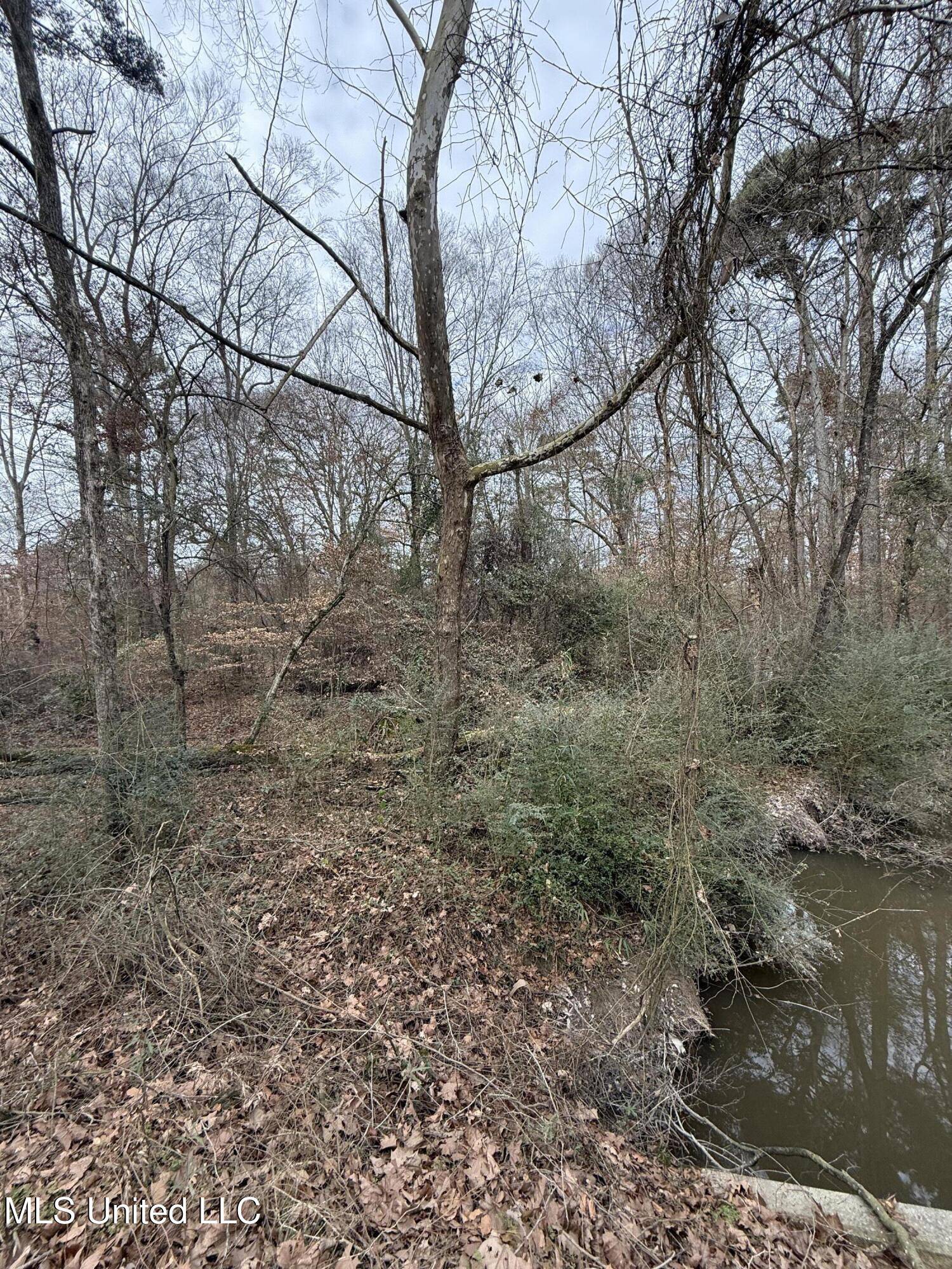 Carthage, MS 39051,1 N Jordan Street