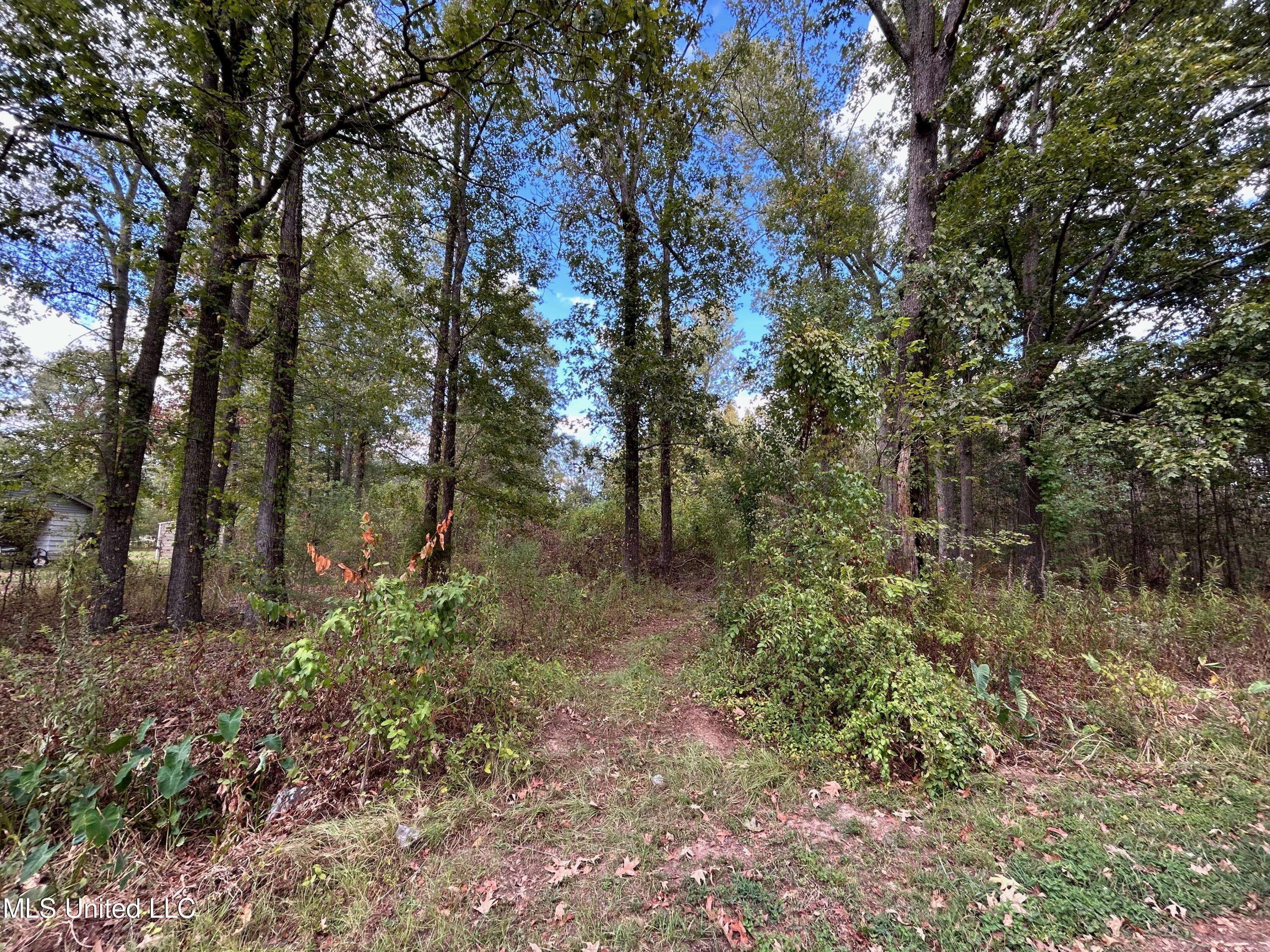 Florence, MS 39073,228 Cedar Street