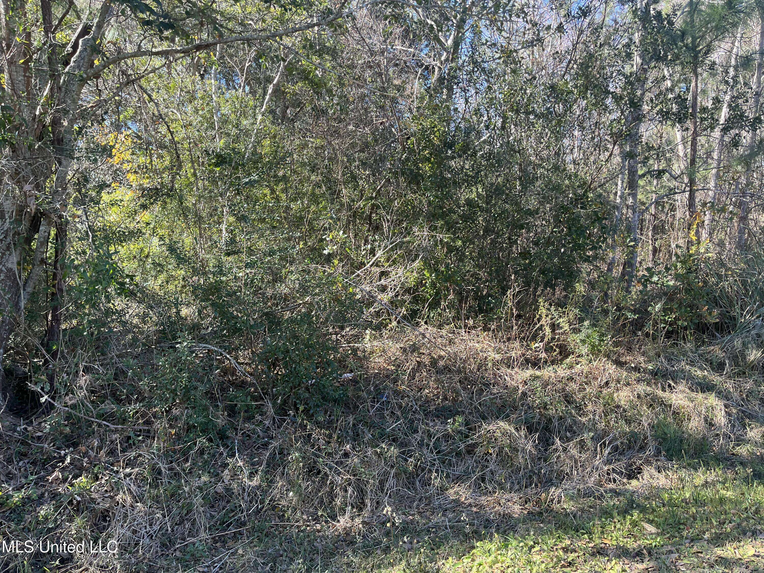 Ocean Springs, MS 39564,1420 Plover Street