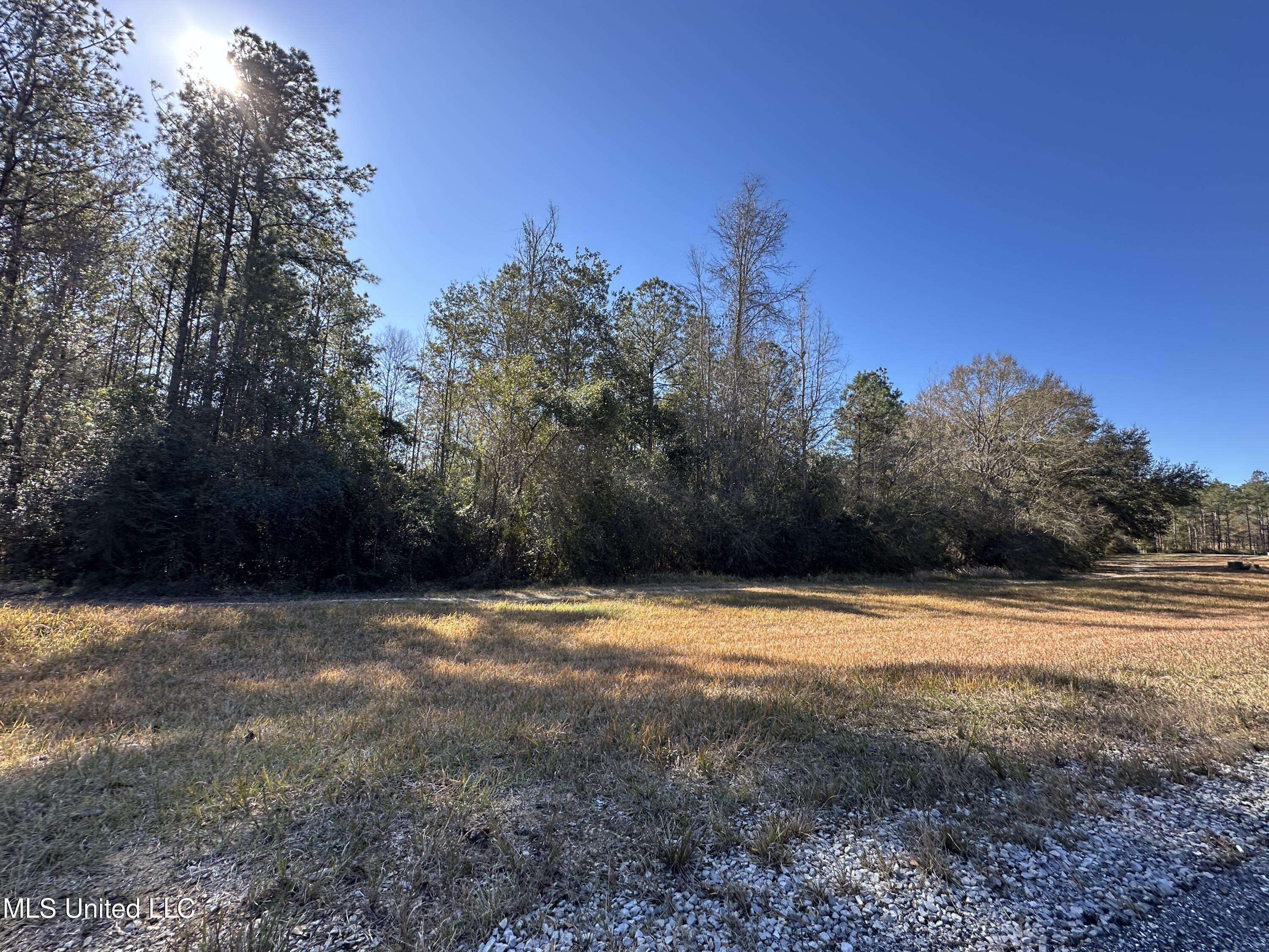 Vancleave, MS 39565,Eagle Ridge Road