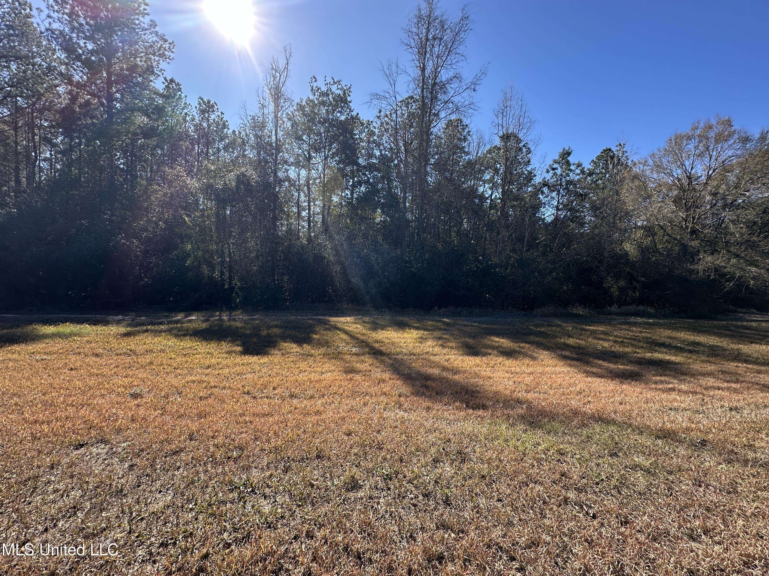 Vancleave, MS 39565,Eagle Ridge Road