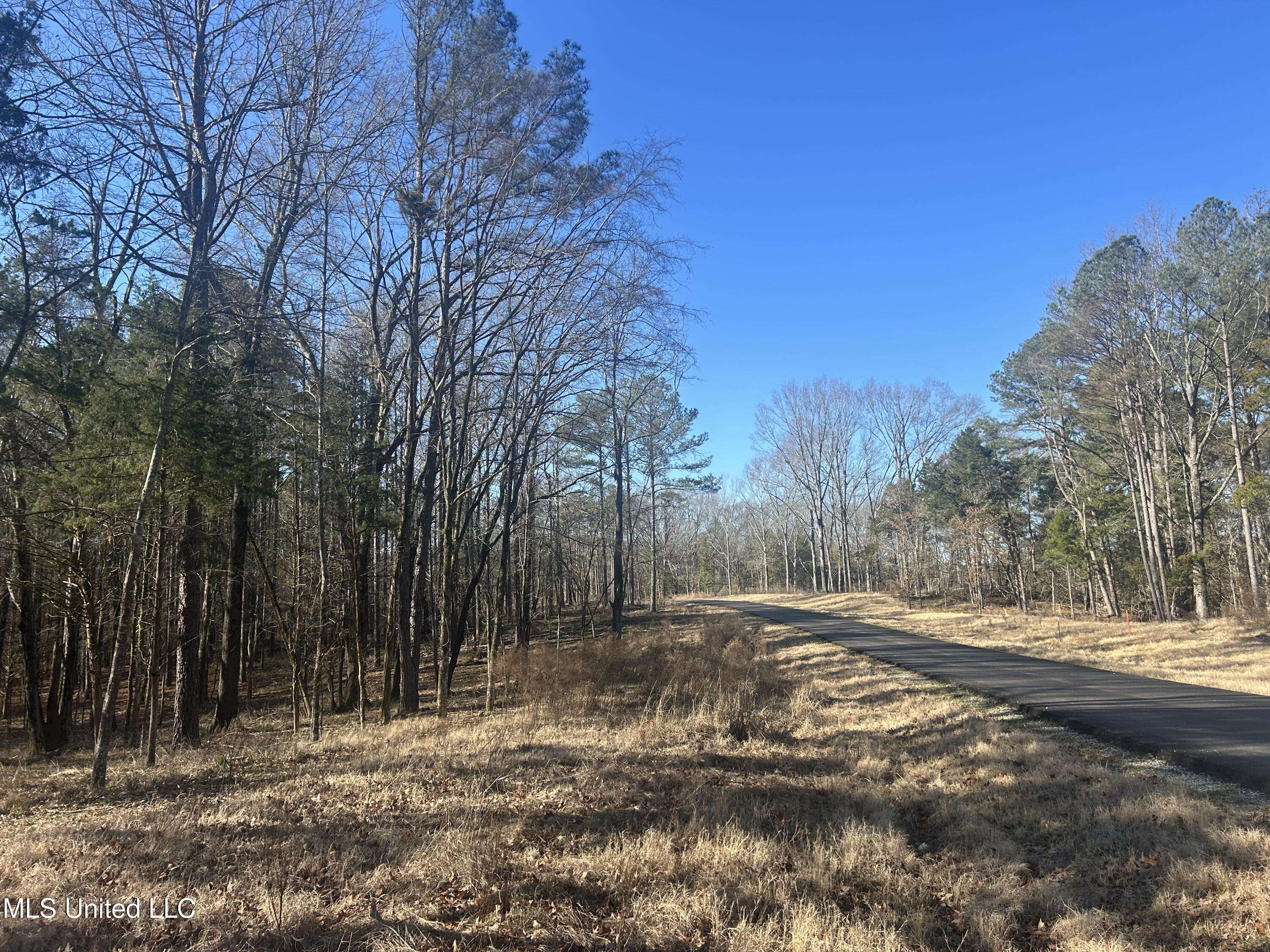 Flora, MS 39071,Springwood Trail