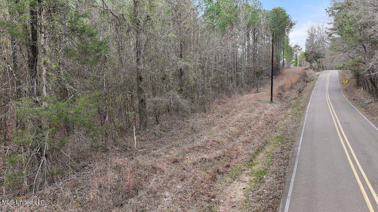 Camden, MS 39045,Stump Bridge Road