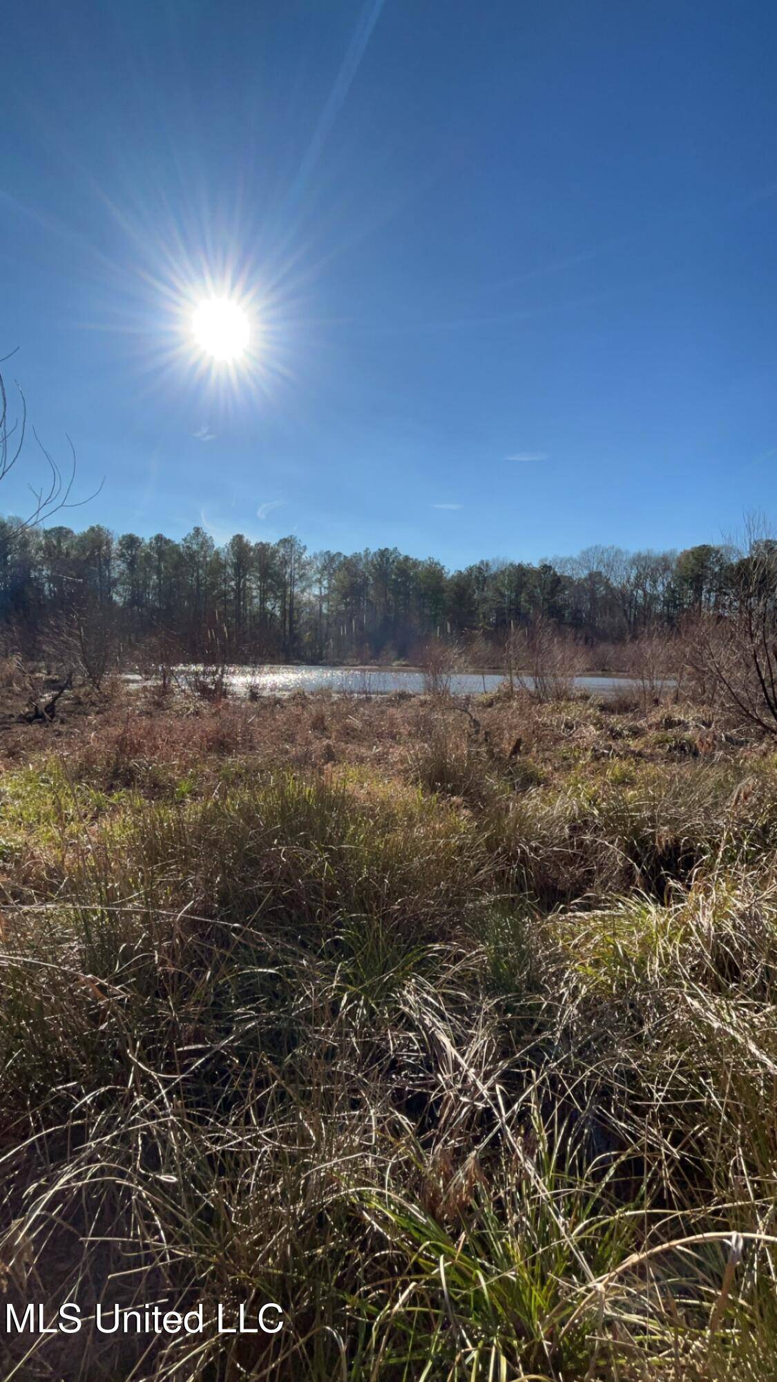 Pearl, MS 39208,St Augustine Drive